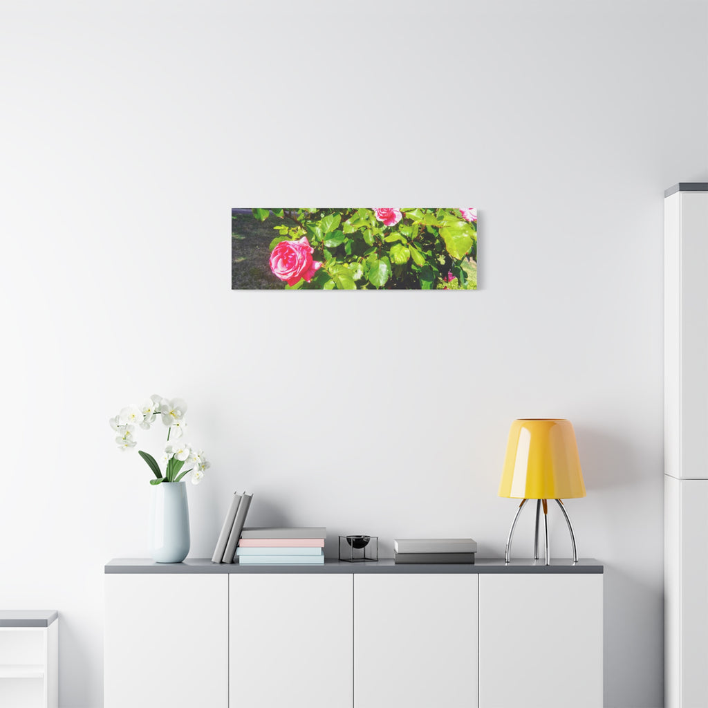 Floral Canvas Wall Art, Pink Rose Decor, Home Gallery Piece, Flower Photography, Garden Wall Decor, Floral Print