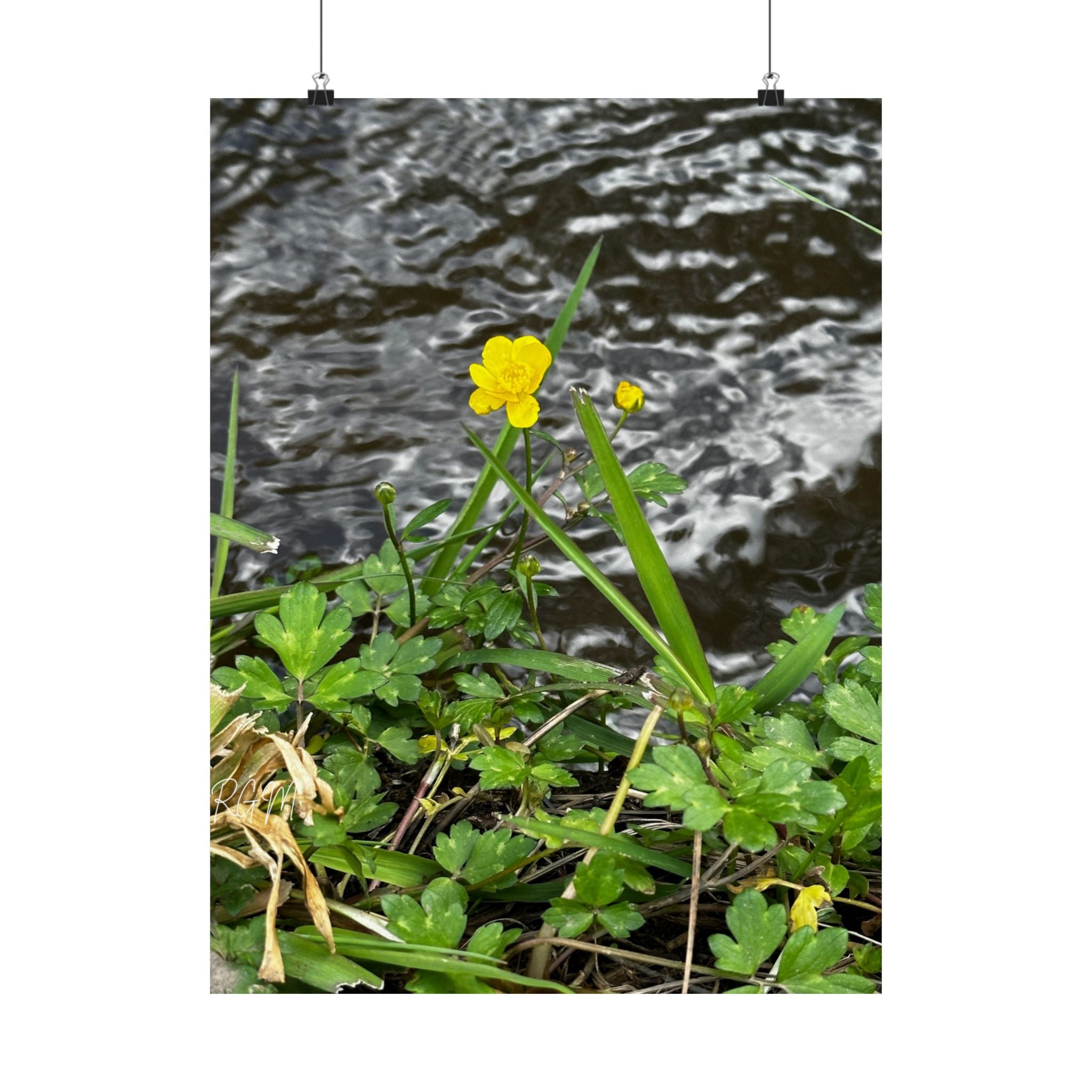 Nature-Inspired Matte Vertical Posters | Vibrant Floral Art for Home Decor, Gift for Nature Lovers, Wall Art, Eco-Friendly Decor