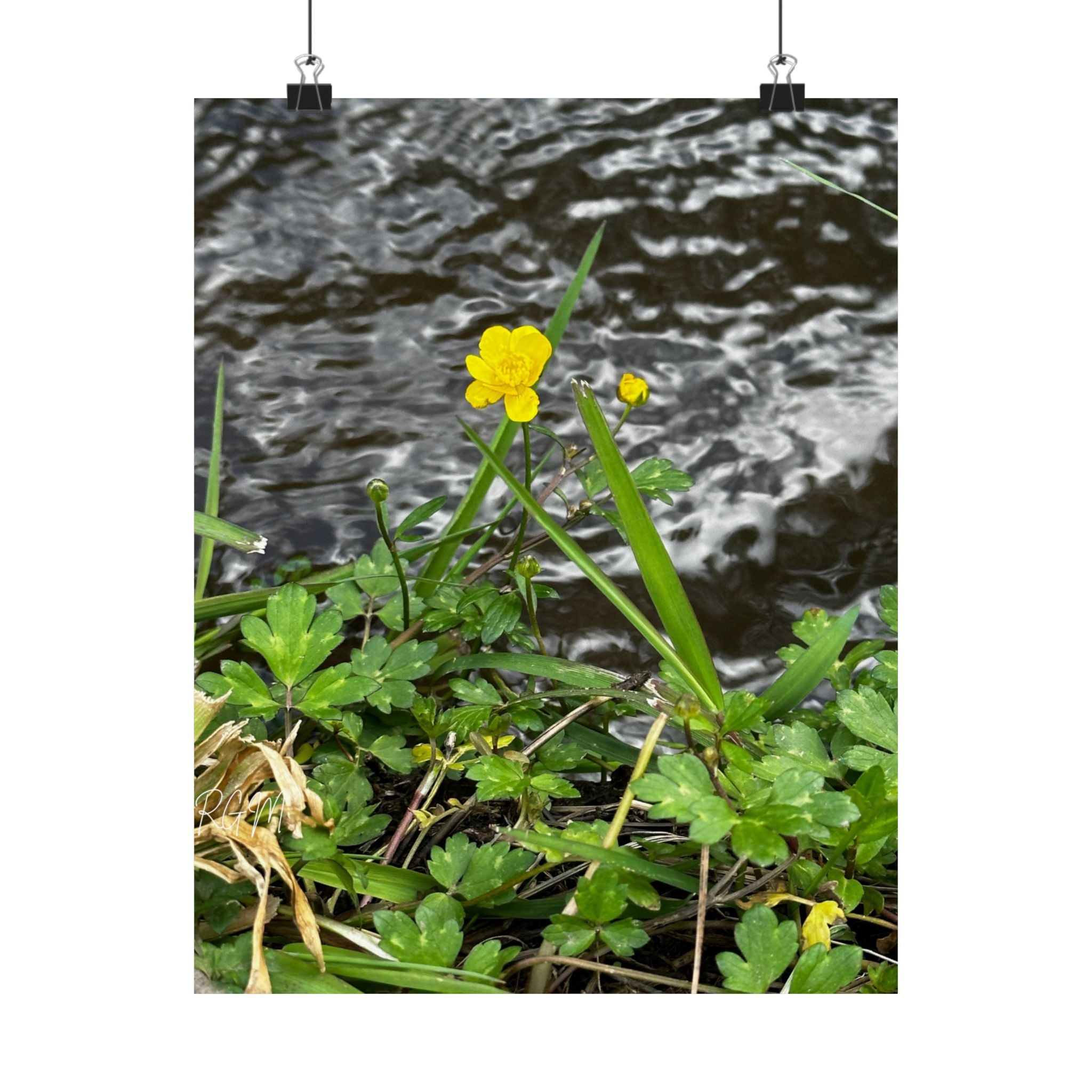 Nature-Inspired Matte Vertical Posters | Vibrant Floral Art for Home Decor, Gift for Nature Lovers, Wall Art, Eco-Friendly Decor