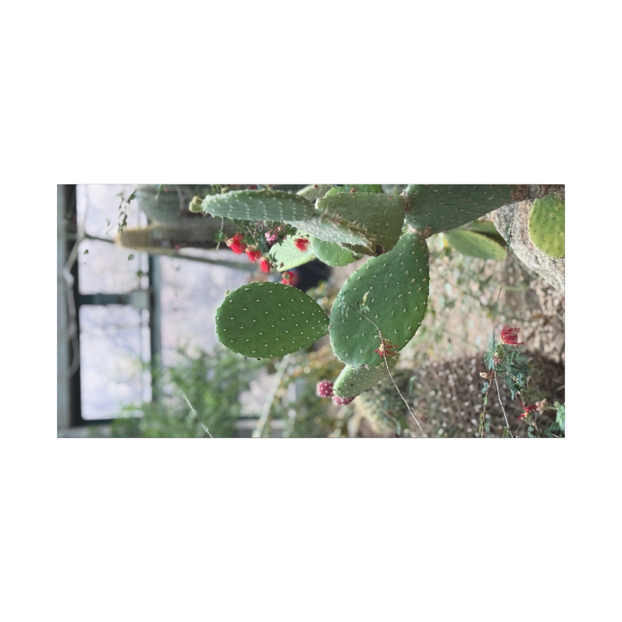 Cactus Wall Art Canvas Print, Nature Décor for Home, Office, Gift for Cactus Lovers, Unique Plant Themed Artwork, Desert Vibe Decor