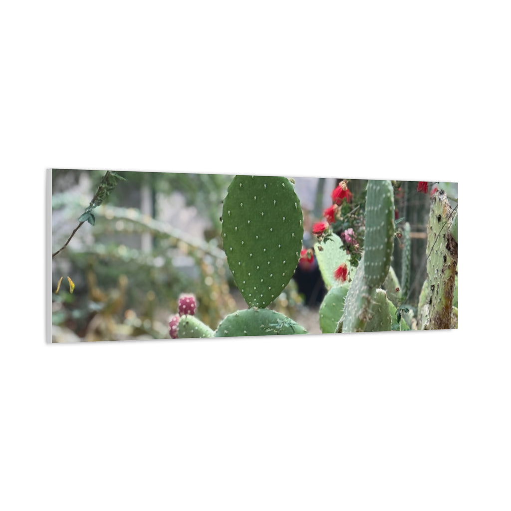 Cactus Matte Canvas Wall Art, Nature Decor, Southwestern Room Design, Green Plant Prints, Home and Office Wall Decor