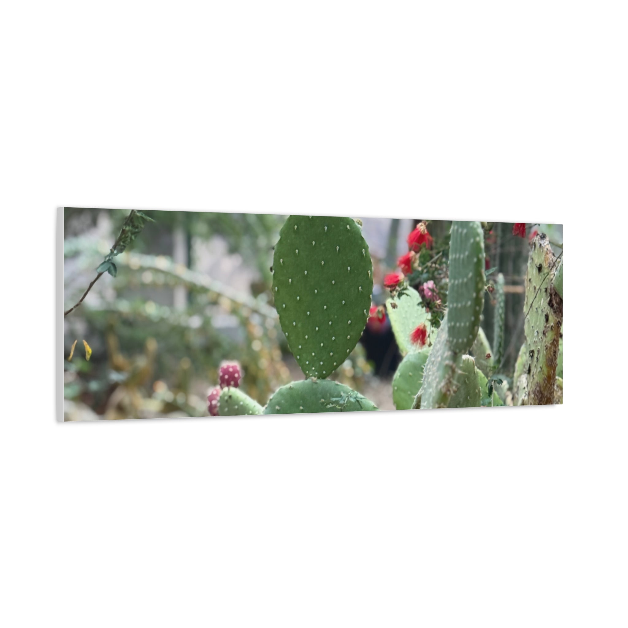 Cactus Matte Canvas Wall Art, Nature Decor, Southwestern Room Design, Green Plant Prints, Home and Office Wall Decor