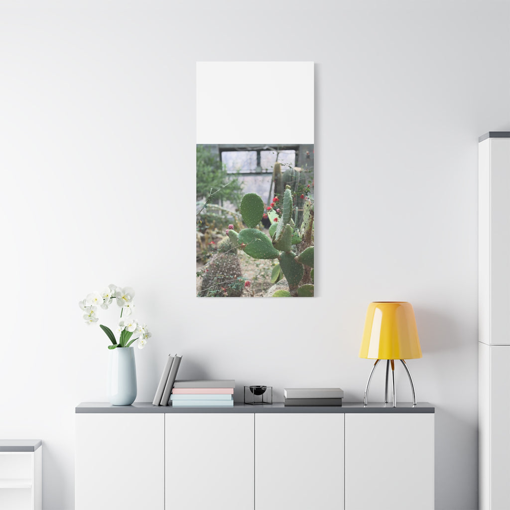 Cactus Matte Canvas Wall Art, Nature Decor, Southwestern Room Design, Green Plant Prints, Home and Office Wall Decor