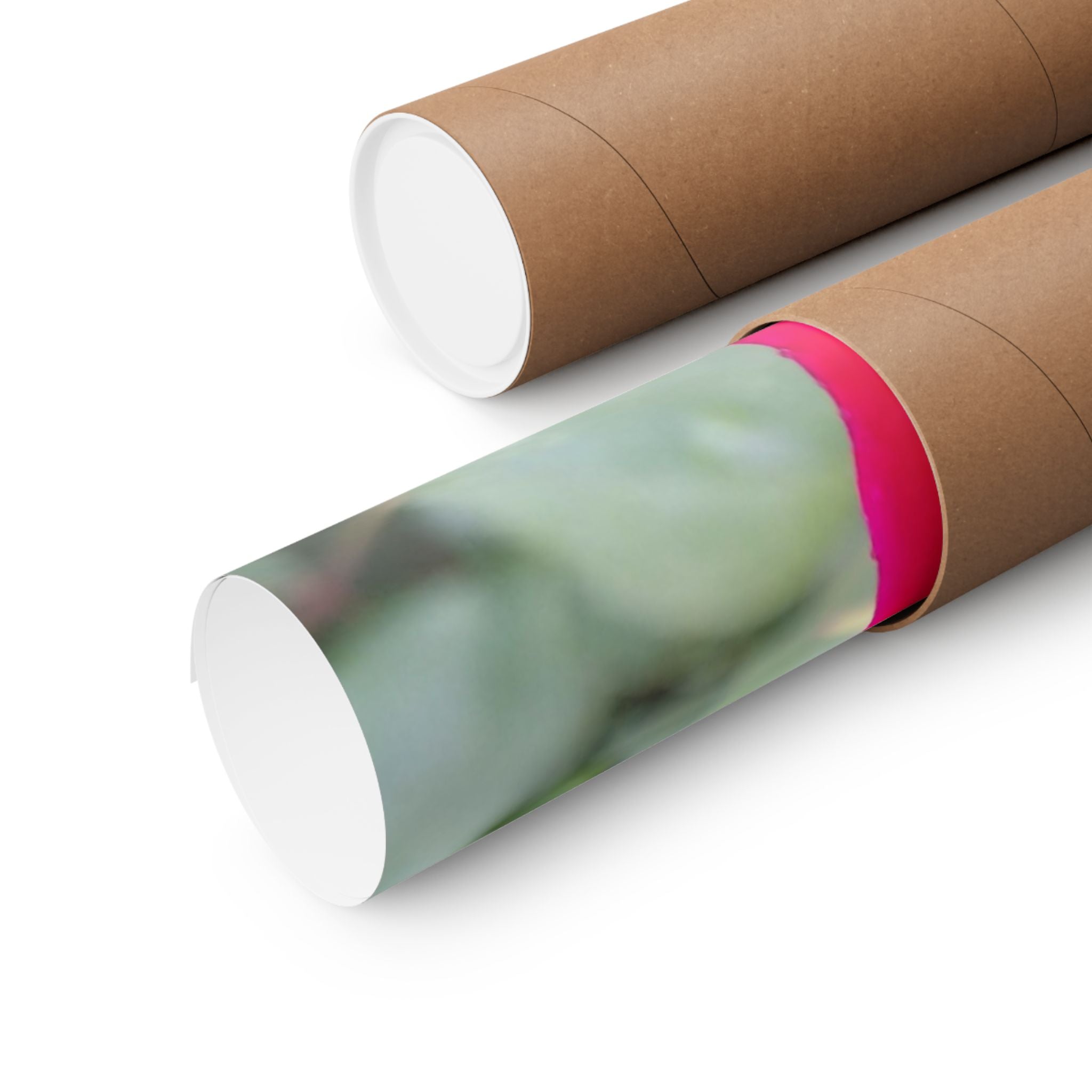 Vibrant Floral Matte Poster, Home Decor, Wall Art, Gift for Her, Red Rose Print, Botanical Wall Art, Romantic Decoration