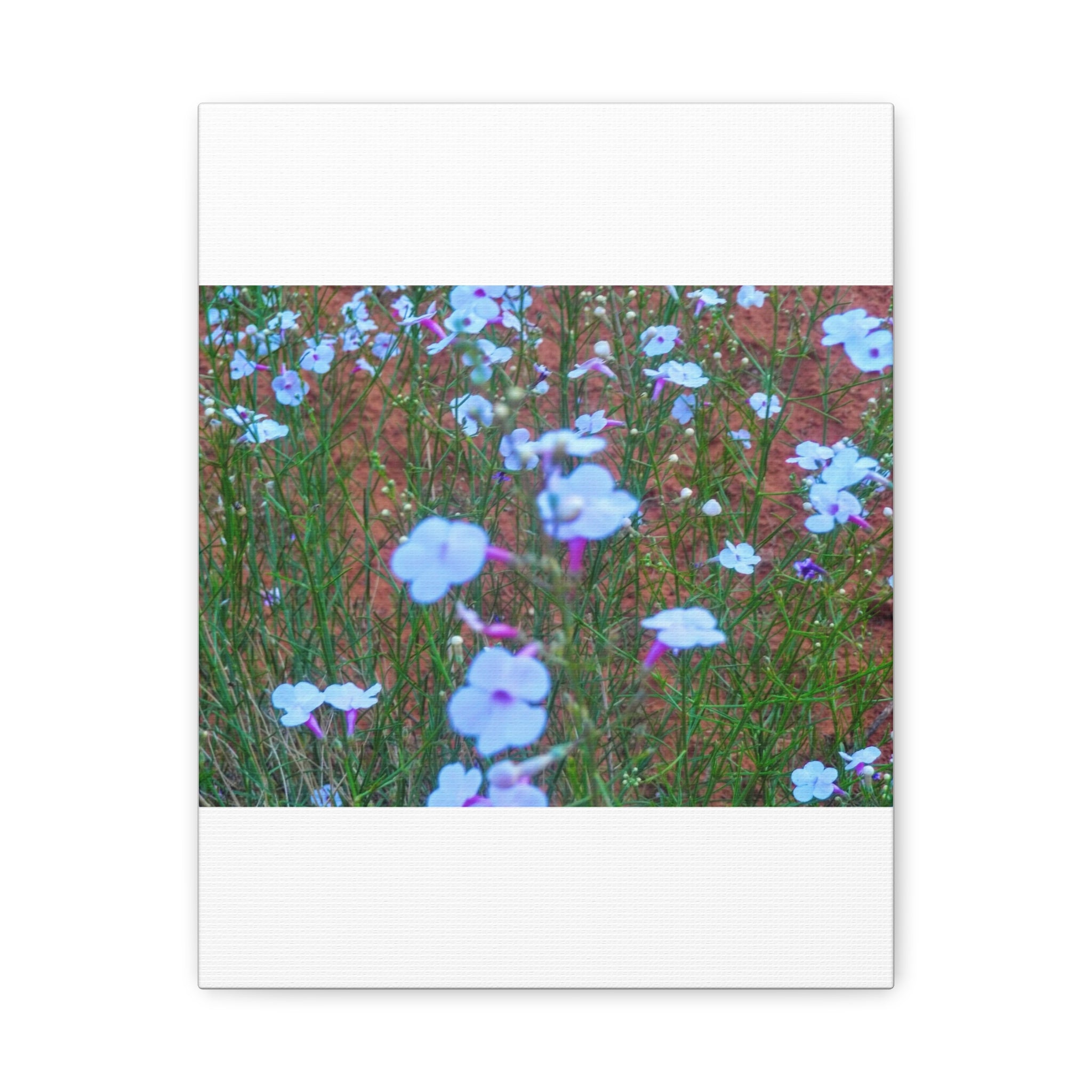 Floral Canvas Wall Art, Home Decor, Wall Hanging, Gift Idea, Nature Art, Flower Print