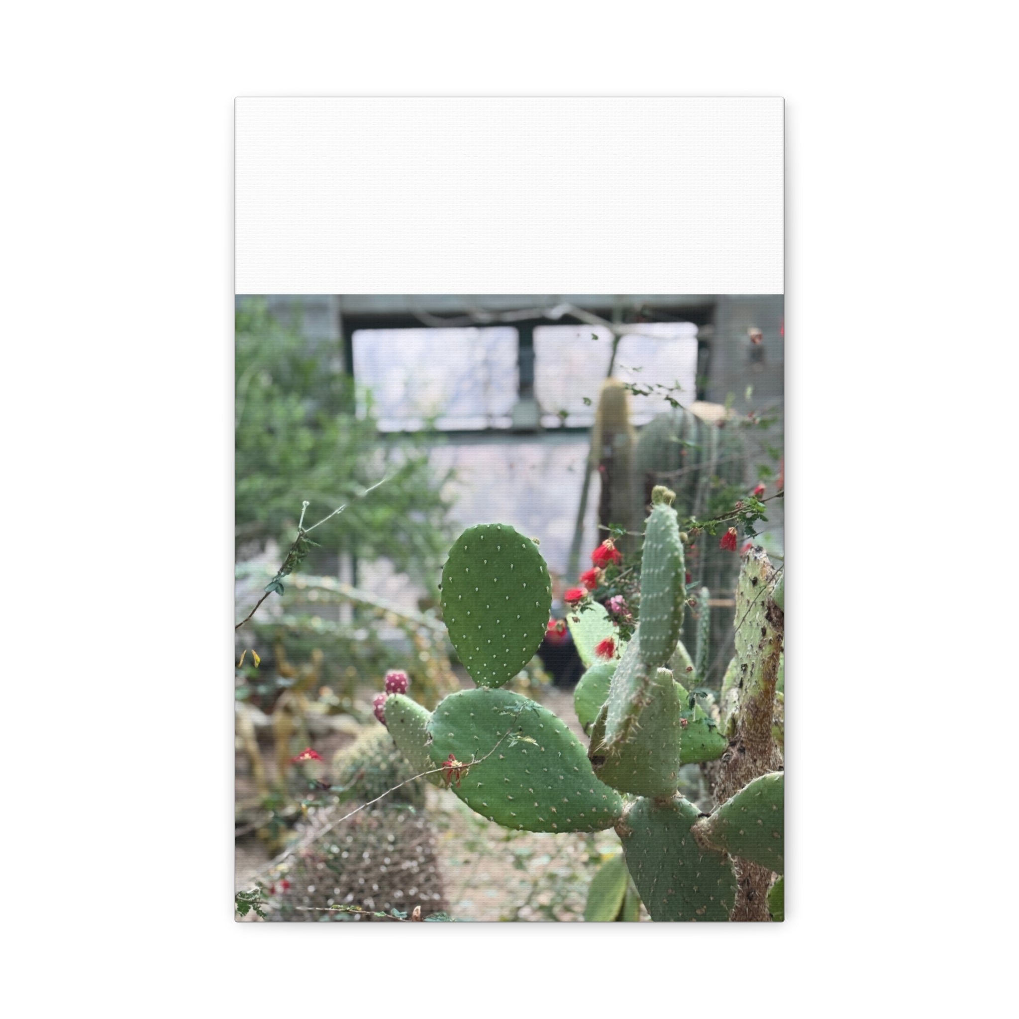 Cactus Matte Canvas Wall Art, Nature Decor, Southwestern Room Design, Green Plant Prints, Home and Office Wall Decor