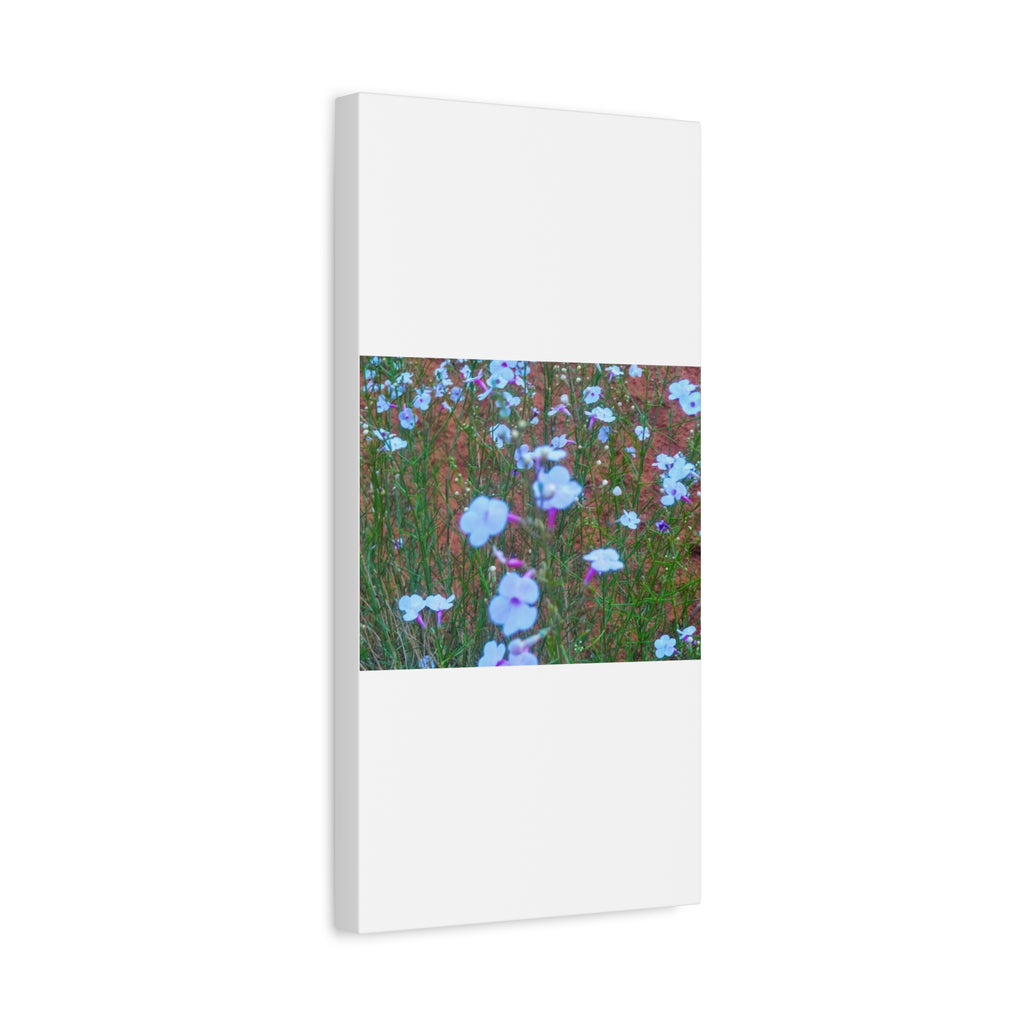 Floral Canvas Wall Art, Home Decor, Wall Hanging, Gift Idea, Nature Art, Flower Print