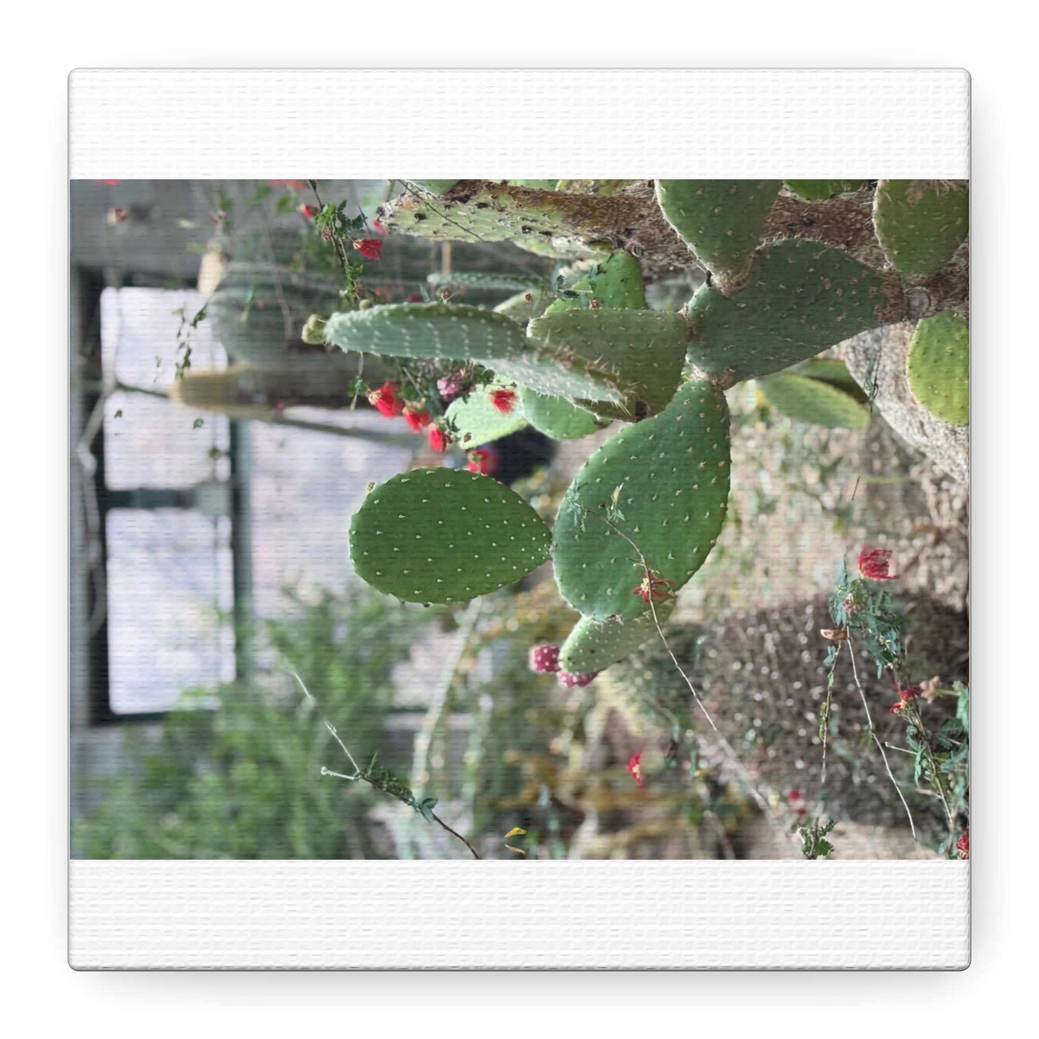 Cactus Wall Art Canvas Print, Nature Décor for Home, Office, Gift for Cactus Lovers, Unique Plant Themed Artwork, Desert Vibe Decor