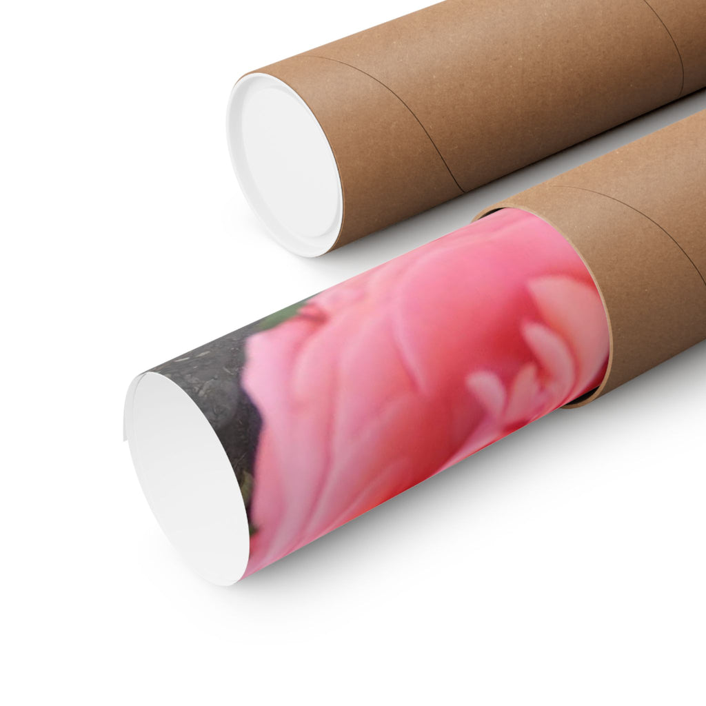 Beautiful Pink Rose Vertical Poster – Floral Wall Art, Home Decor, Gift for Her, Botanical Print, Mother's Day Decoration