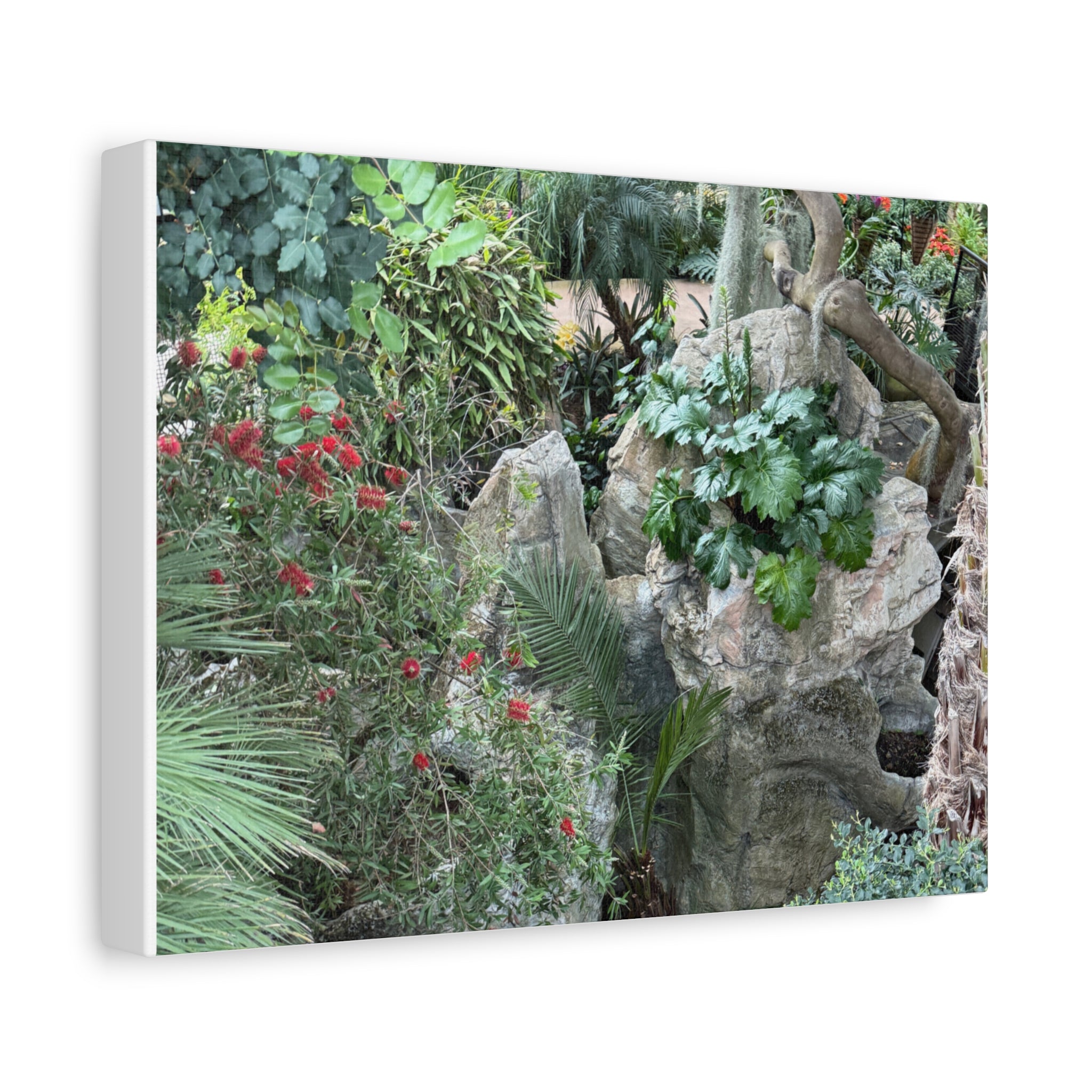 Nature-Inspired Wall Art, Canvas Print, Botanical Decor for Home, Greenery Art, Gift for Nature Lovers, Eco-Friendly Decoration