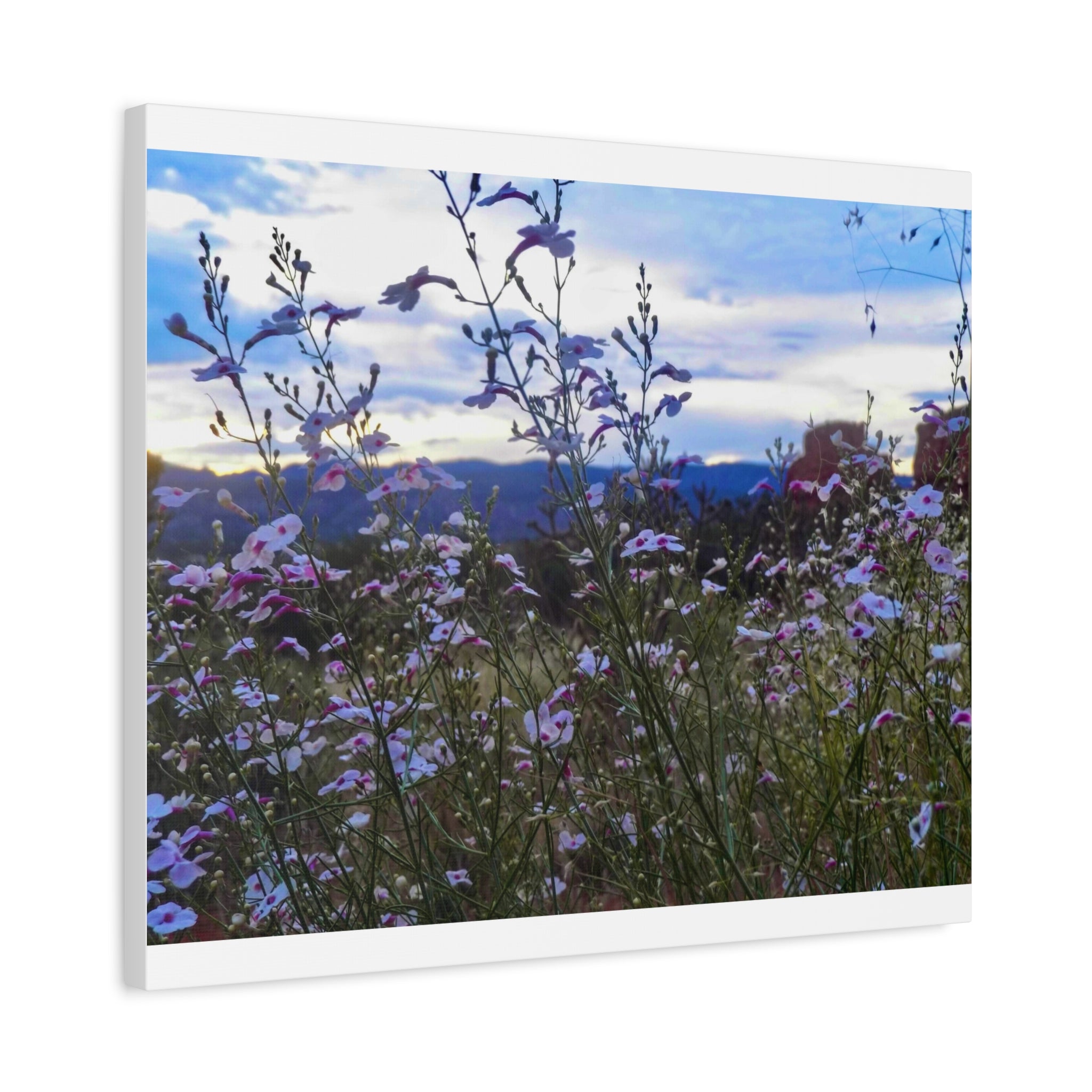 Floral Wall Art Canvas, Nature-Inspired Home Decor, Flower Print, Rustic Living Room, Gift for Gardeners, Boho Wall Art