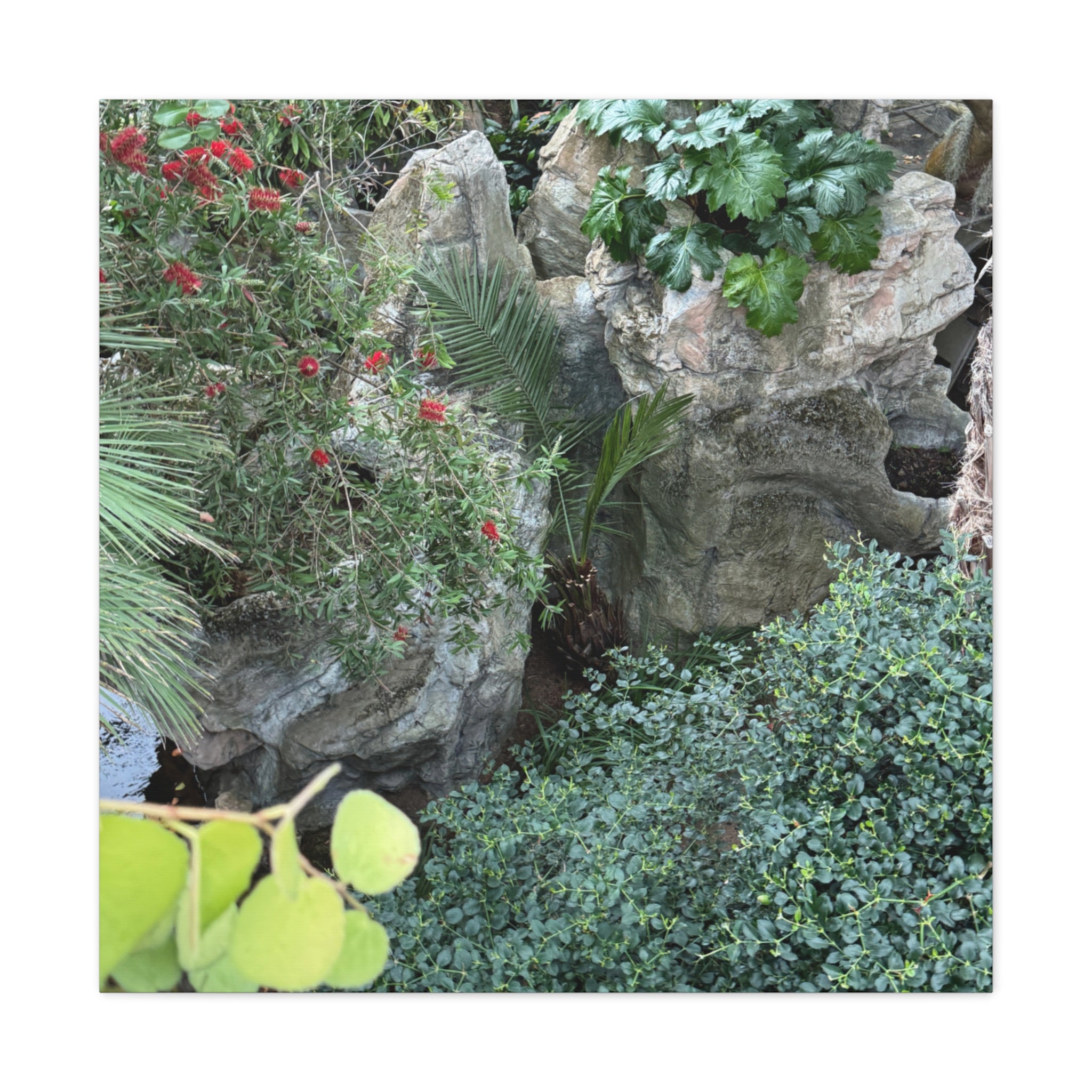 Canvas Wall Art, Tropical Garden Print, Home Decor, Botanical Artwork, Nature Lover Gift, Modern Interior Design