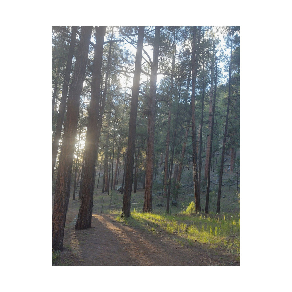 Serene Nature Matte Vertical Posters, Forest Wall Art, Home Decor, Gift Idea, Nature Lover's Decor, Inspirational Art Print