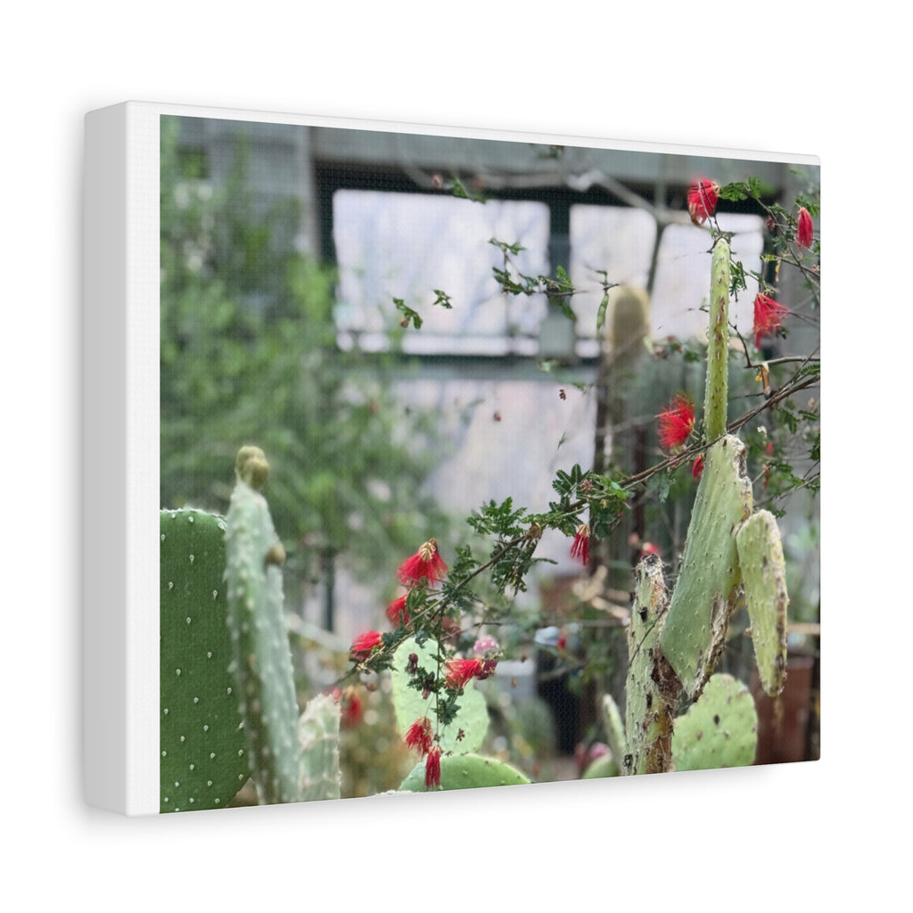 Cactus Wall Art Print, Nature Home Decor, Bohemian Style Artwork, Botanical Gift, Succulent Canvas