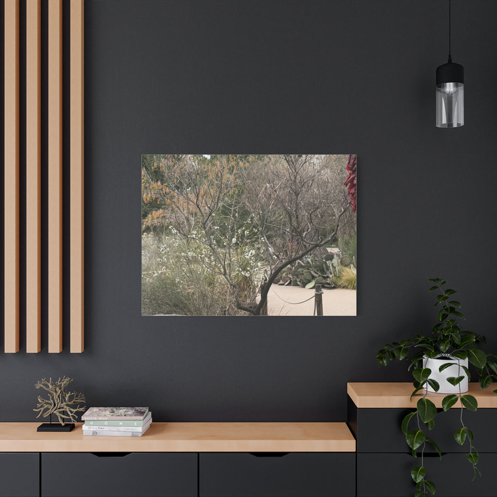 Classic Canvas Art Print, Bohemian Decor, Nature Wall Art, Home Gallery, Rustic Wall Decoration