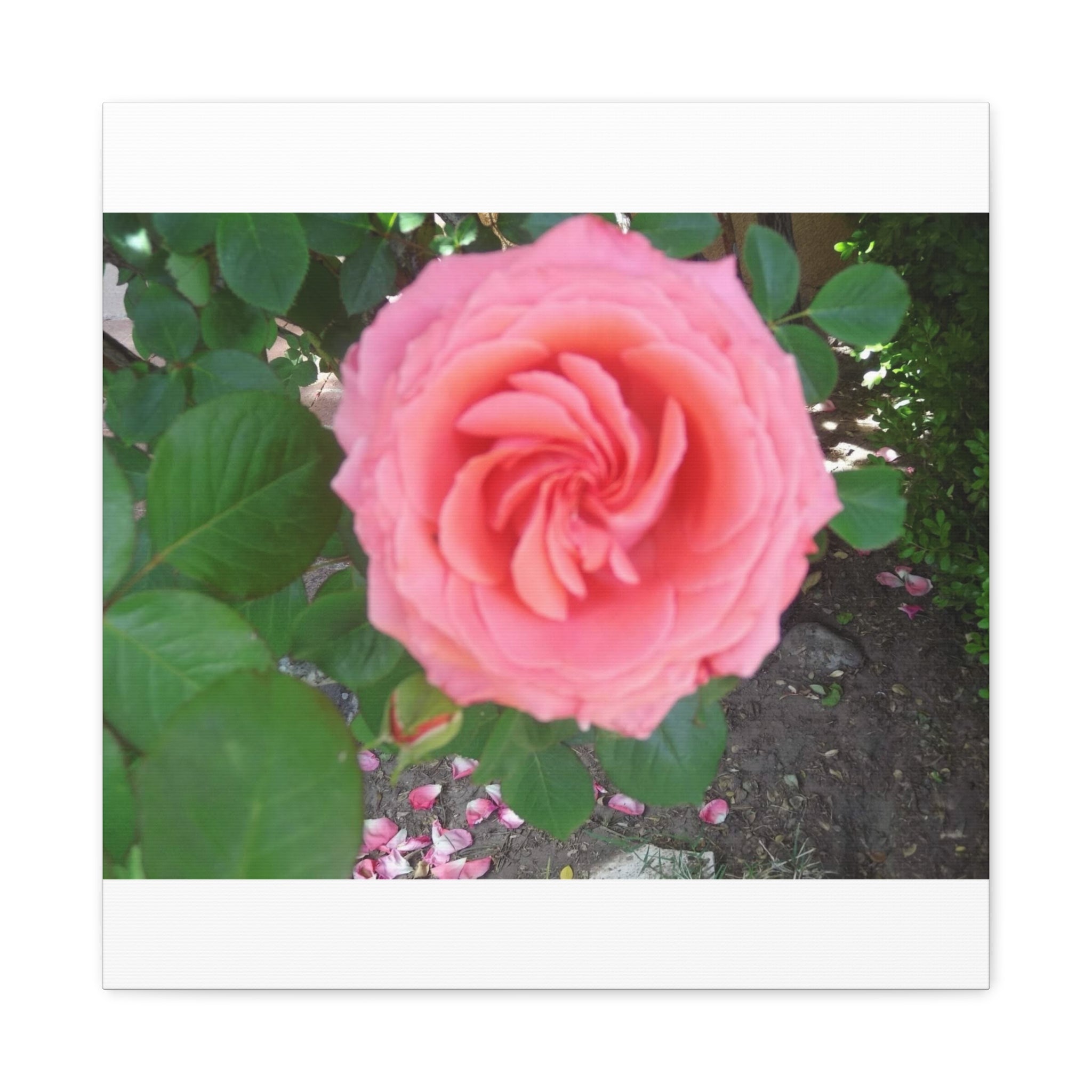 Pink Rose Canvas Wall Art, Floral Decor for Home, Perfect Gift for Nature Lovers, Elegant Wall Hanging, Mother's Day Decoration