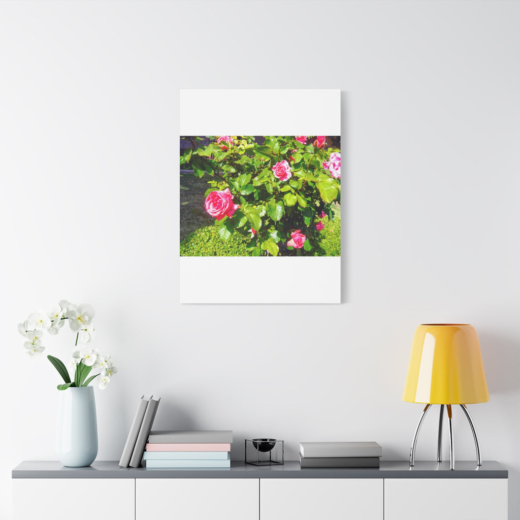 Floral Canvas Wall Art, Pink Rose Decor, Home Gallery Piece, Flower Photography, Garden Wall Decor, Floral Print
