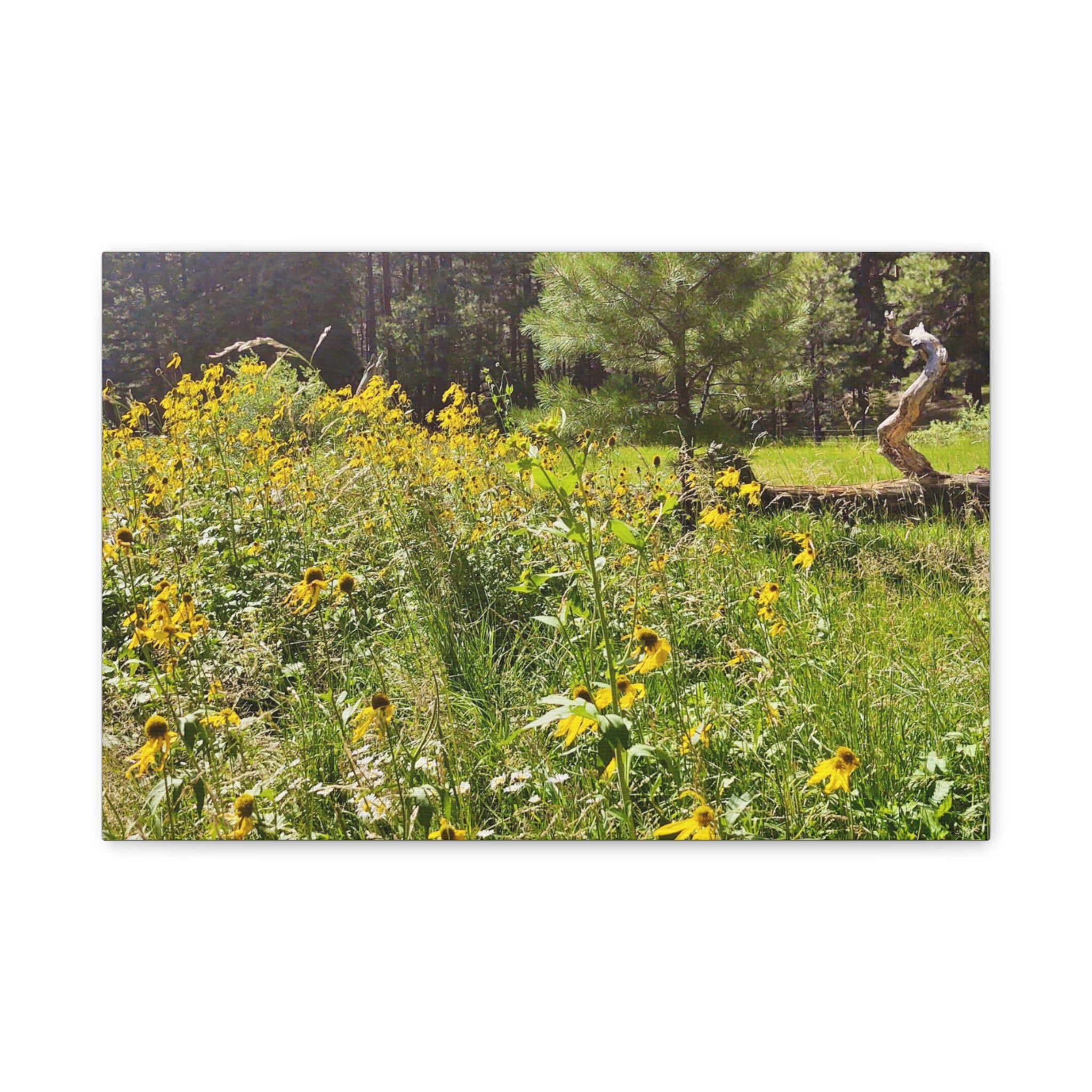 Canvas Wall Art, Nature Photography Decor, Floral Home Decor, Greenery Art Print, Gift for Nature Lovers