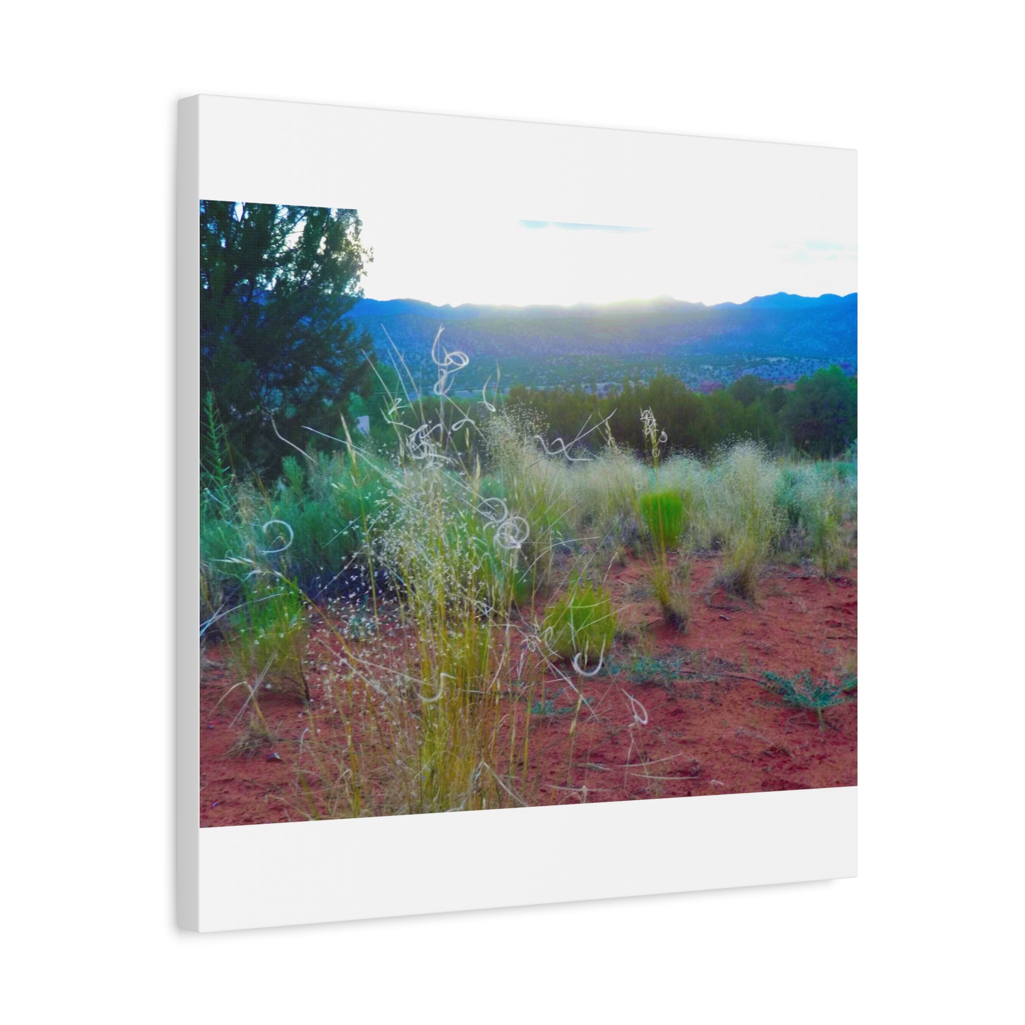 Stretched Canvas Art Print, Nature Wall Decor, Boho Home Decor, Rustic Landscape Art, Gift for Nature Lovers