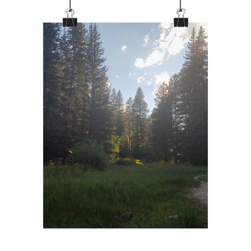 Nature-Inspired Matte Vertical Posters, Forest Art Decor, Home Wall Art, Outdoor Lover Gift, Tranquil Nature Prints