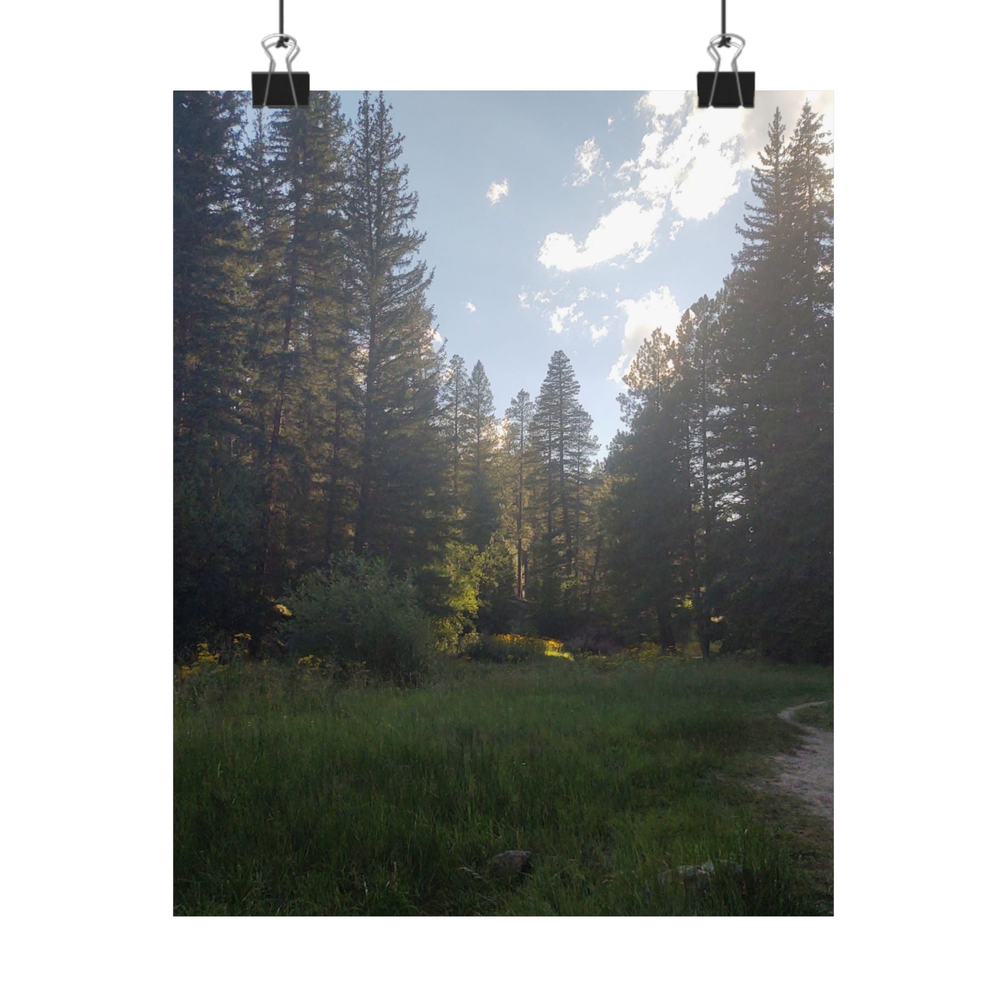 Nature-Inspired Matte Vertical Posters, Forest Art Decor, Home Wall Art, Outdoor Lover Gift, Tranquil Nature Prints