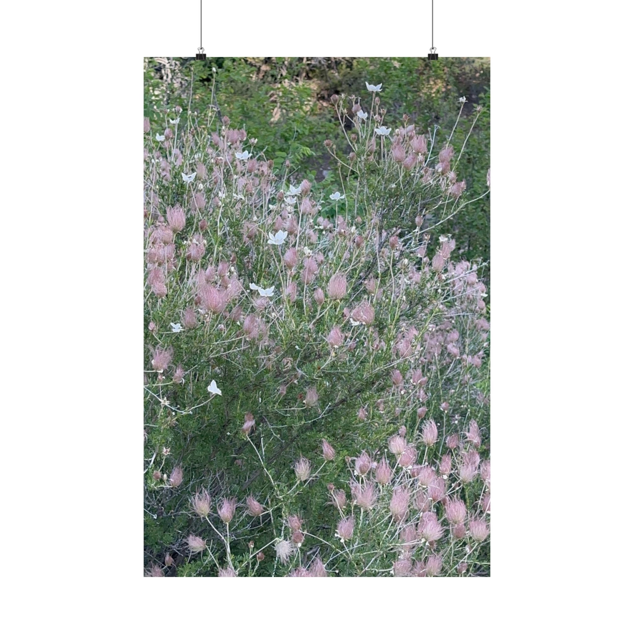 Botanical Vertical Art Print, Pink Floral Poster for Home Decor, Flower Wall Art, Nature-Inspired Artwork, Gift for Garden Lovers