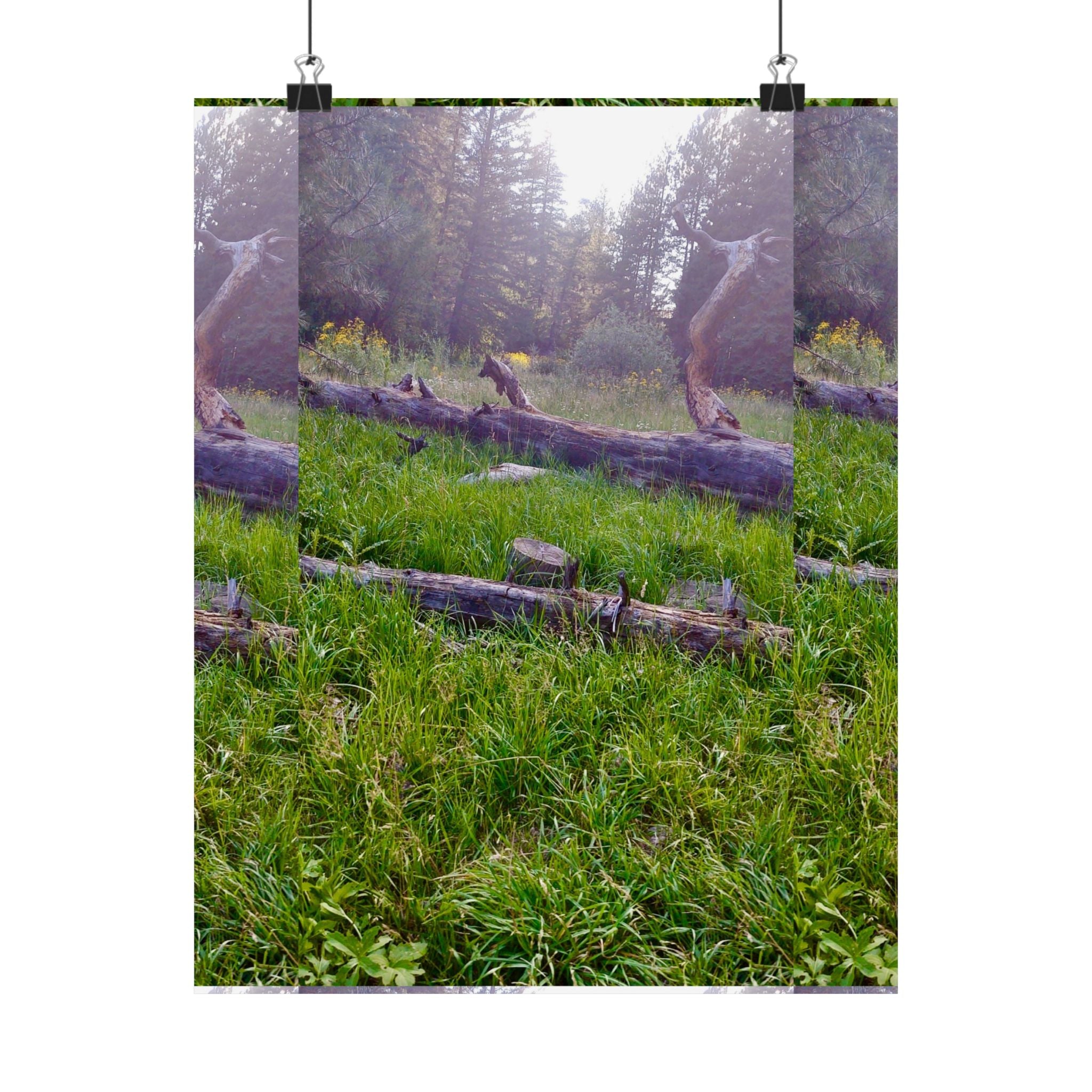 Nature-Inspired Matte Vertical Posters, Wall Art, Home Decor, Gift for Nature Lovers, Room Decoration, Eco-Friendly Art