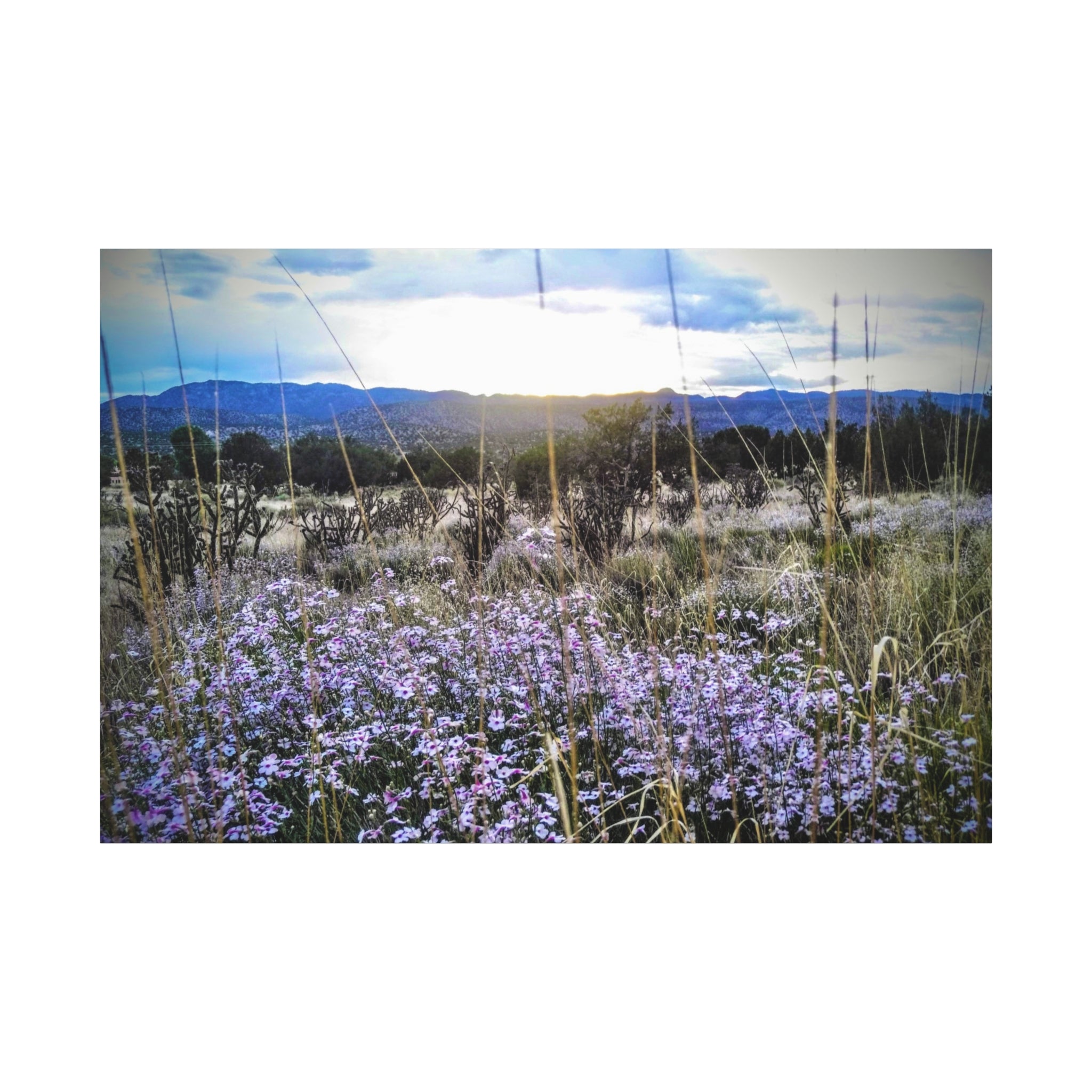 Framed Botanical Wall Art, Floral Canvas Print, Nature Decor, Home Interior Art, Gift for Garden Lovers, Beautiful Flower Landscape