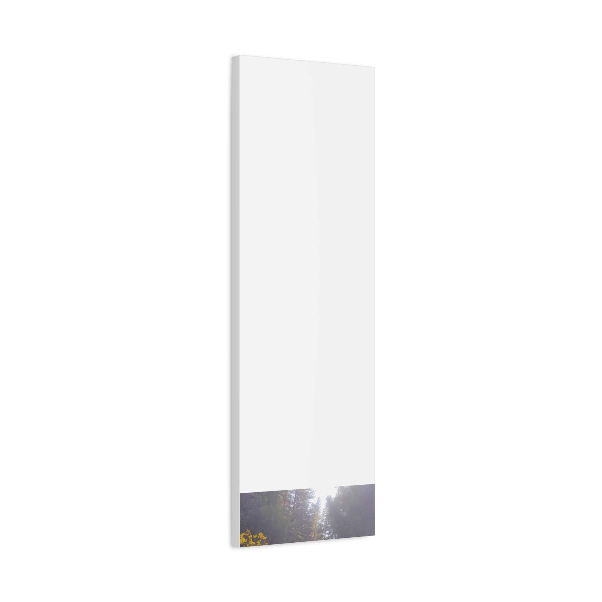 Matte Canvas, Stretched, 1.25"