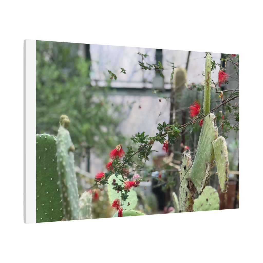 Cactus Wall Art Print, Nature Home Decor, Bohemian Style Artwork, Botanical Gift, Succulent Canvas