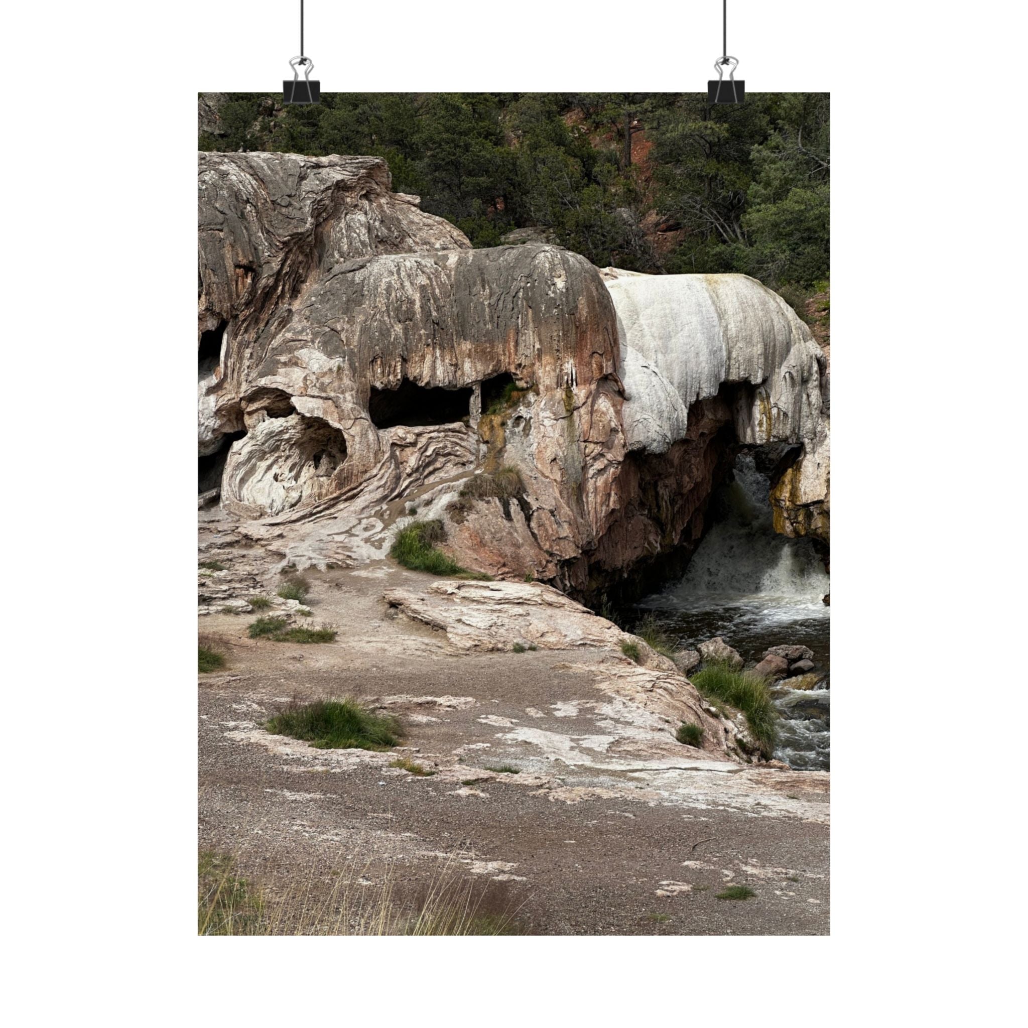 Nature-Inspired Matte Vertical Poster, Landscape Wall Art, Home Decor, Unique Gift, Rustic Vibe, Earthy Aesthetic