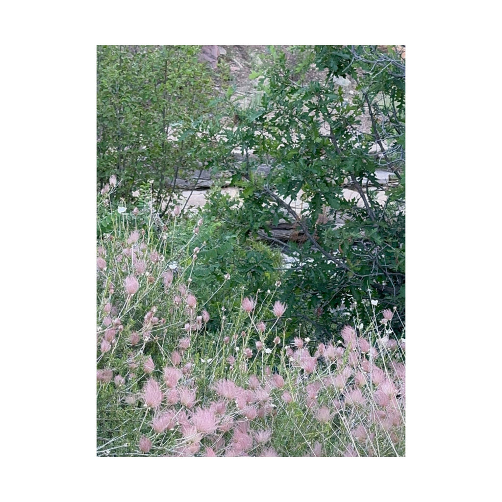 Botanical Wall Art Print, Floral Home Decor, Matte Vertical Posters, Nature Poster for Living Room, Gift for Plant Lovers