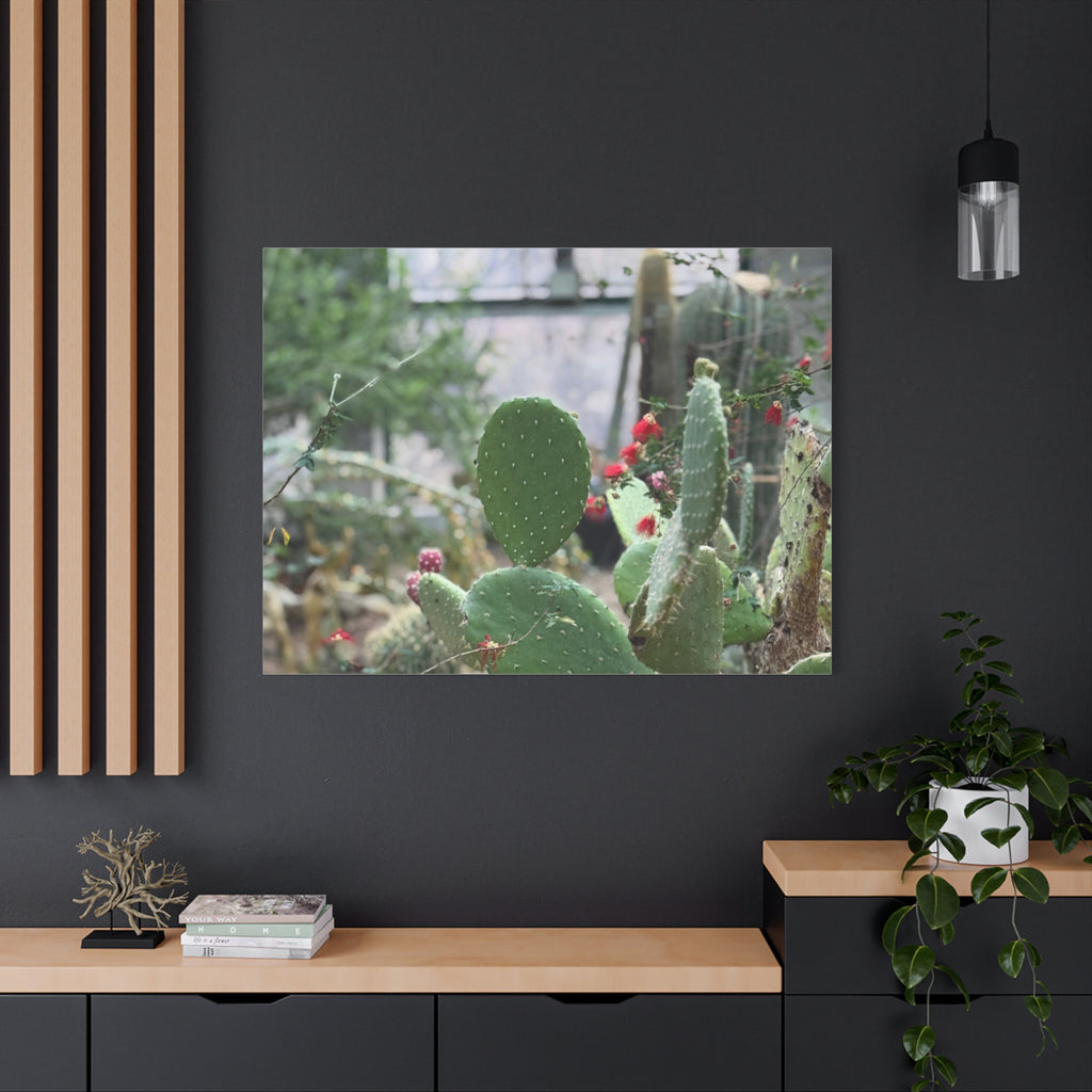 Cactus Matte Canvas Wall Art, Nature Decor, Southwestern Room Design, Green Plant Prints, Home and Office Wall Decor