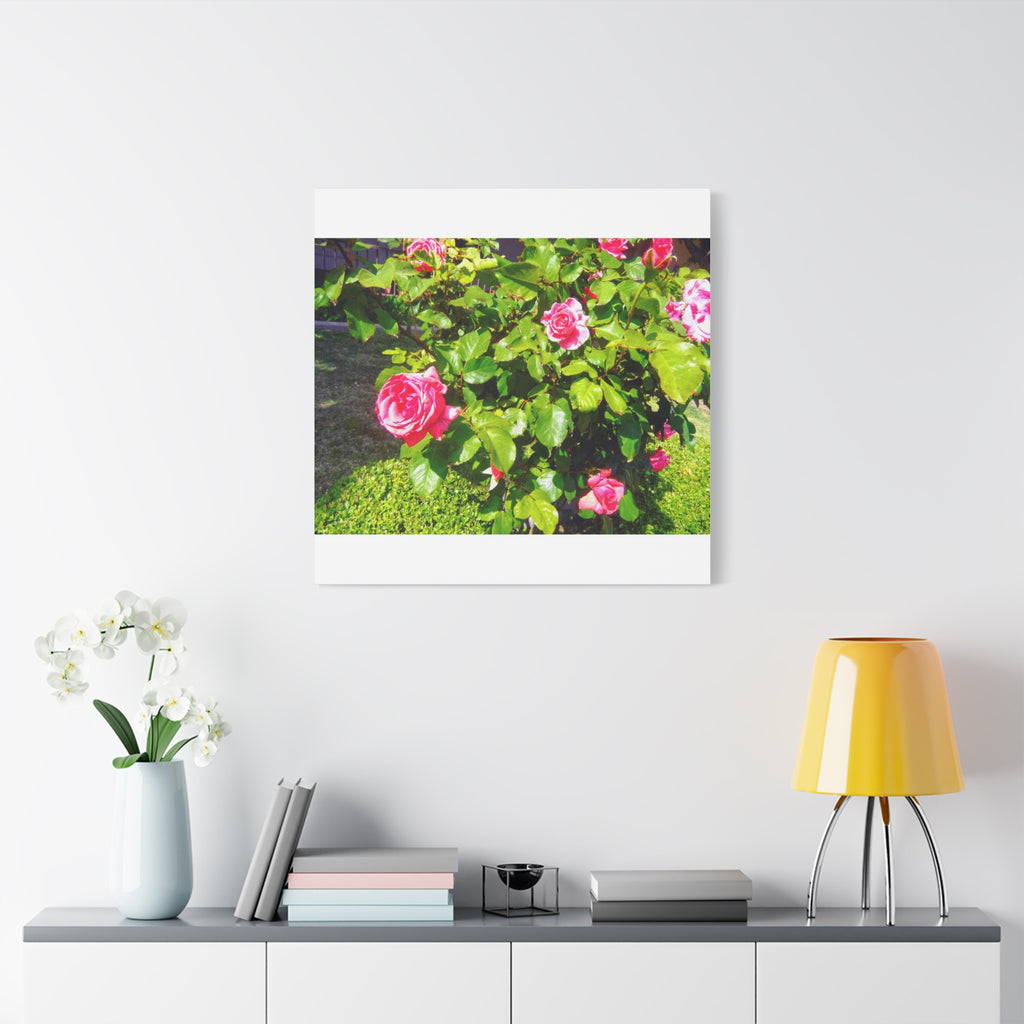 Floral Canvas Wall Art, Pink Rose Decor, Home Gallery Piece, Flower Photography, Garden Wall Decor, Floral Print