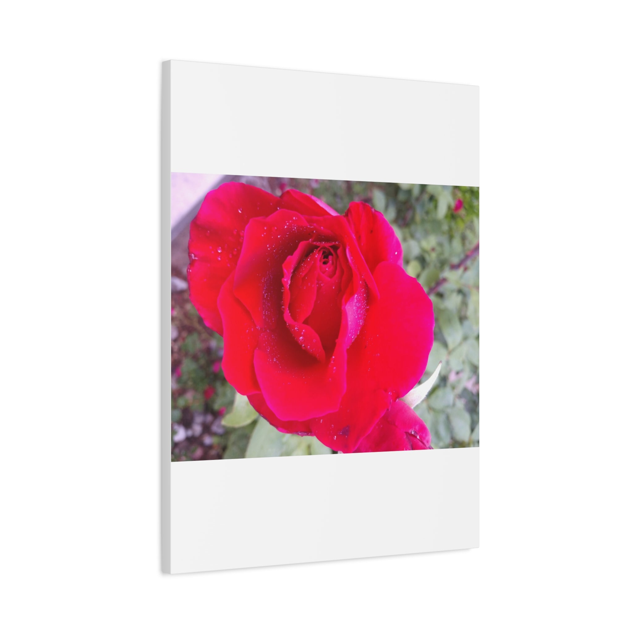 Vibrant Floral Canvas Art, Elegant Wall Decor, Perfect for Home, Gifts, Mother's Day, and Weddings