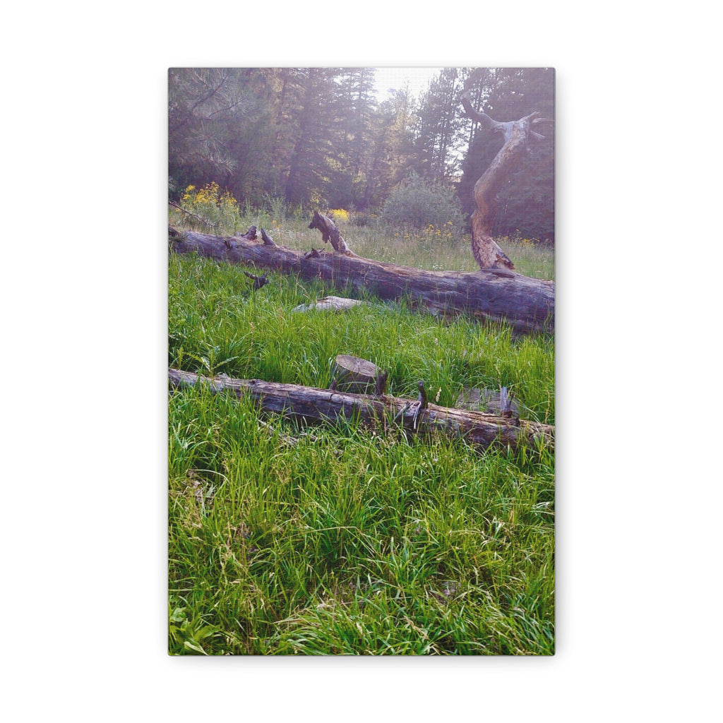 Classic Canvas Wall Art - Nature Decor, Outdoor Wall Hanging, Home Aesthetic, Gift for Nature Lovers, Rustic Cabin Decor