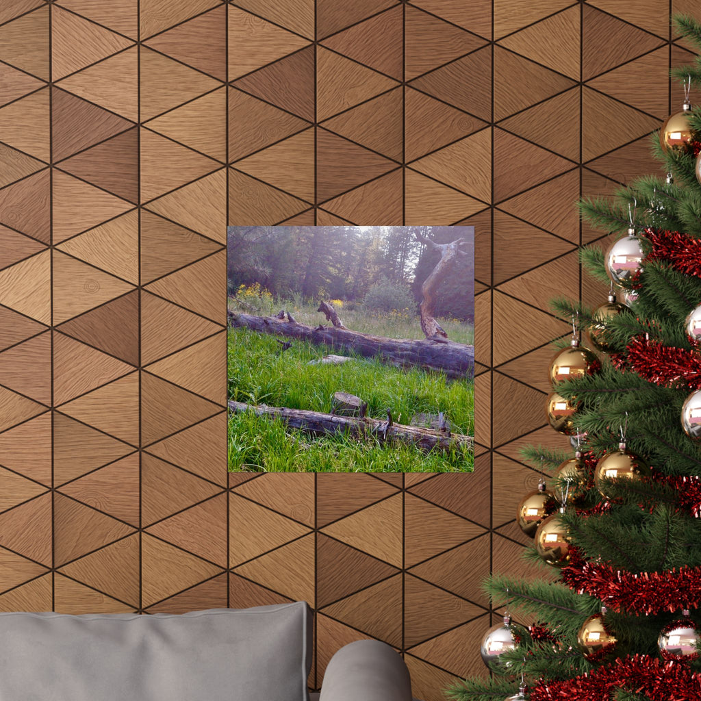 Nature-Inspired Matte Vertical Posters, Wall Art Decor, Forest Photo Prints, Home Aesthetic, Gift for Nature Lovers