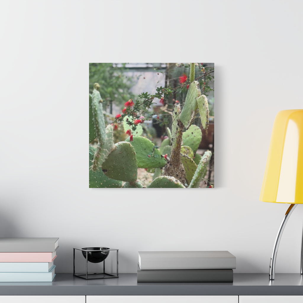 Cactus Artwork Print, Botanical Wall Decor, Succulent Canvas, Nature Lover Gift, Home Decoration