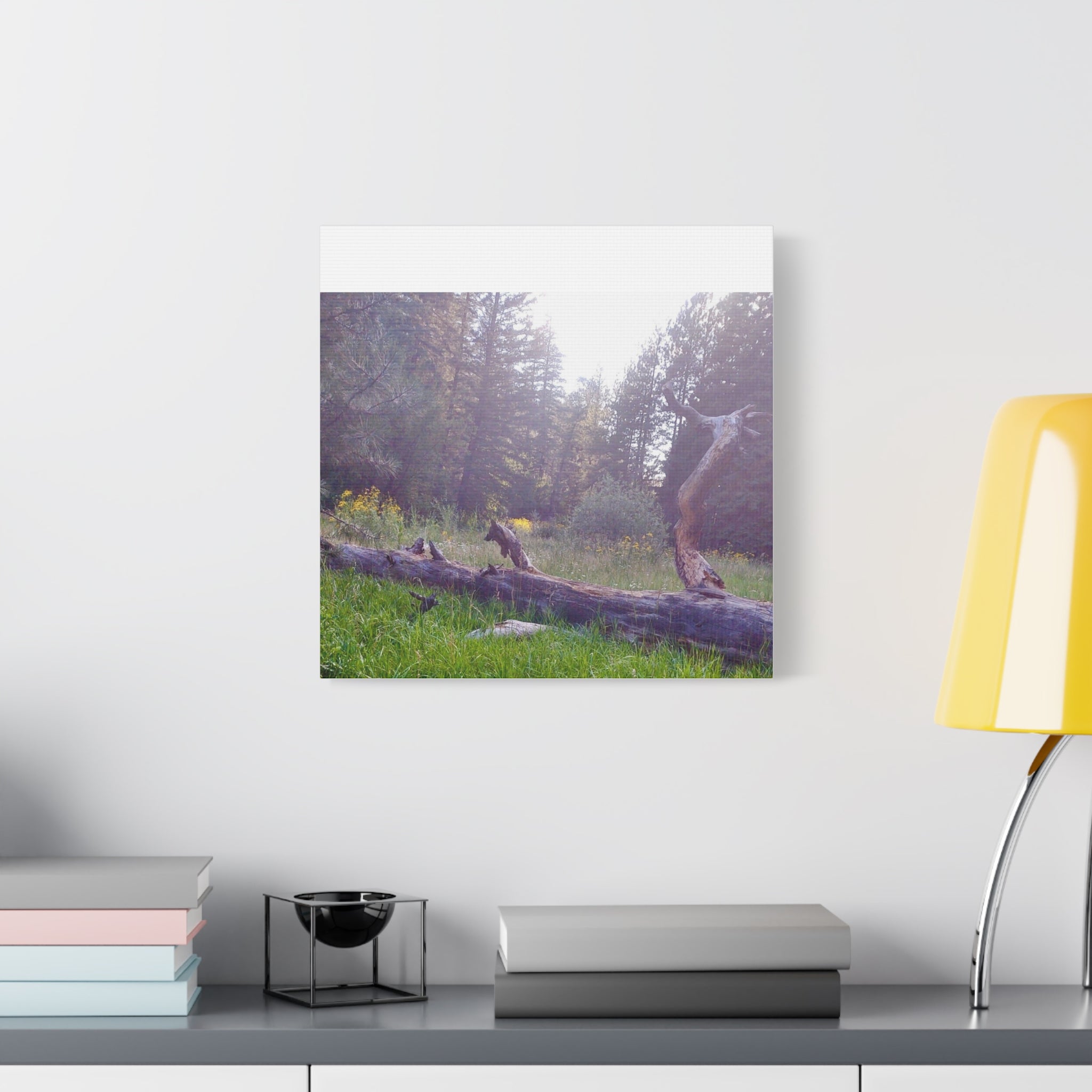 Matte Canvas Wall Art - Serene Nature Scene, Perfect for Home Decor, Gift for Nature Lovers, Office Wall Decoration, Rustic Art Print