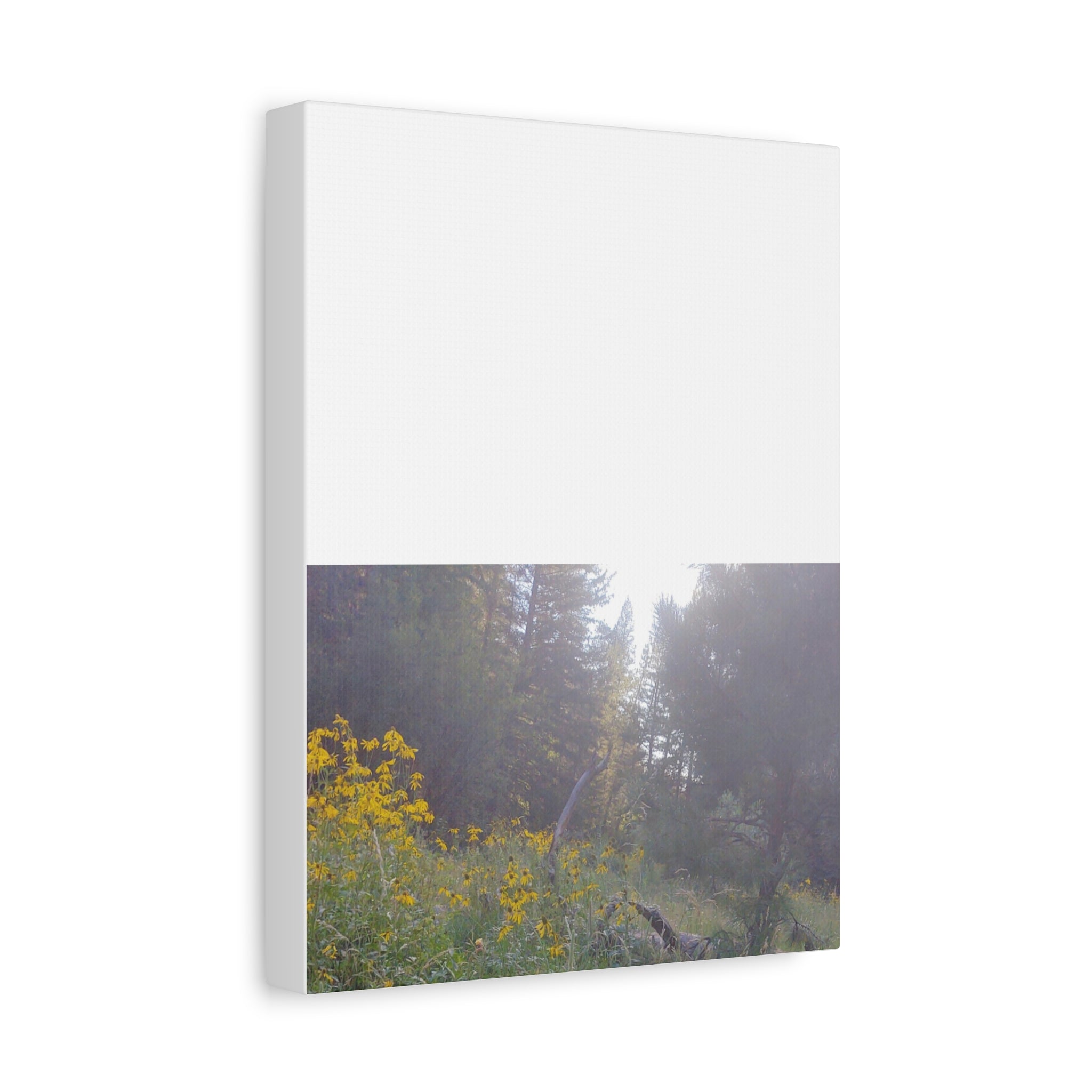 Matte Canvas, Stretched, 1.25"