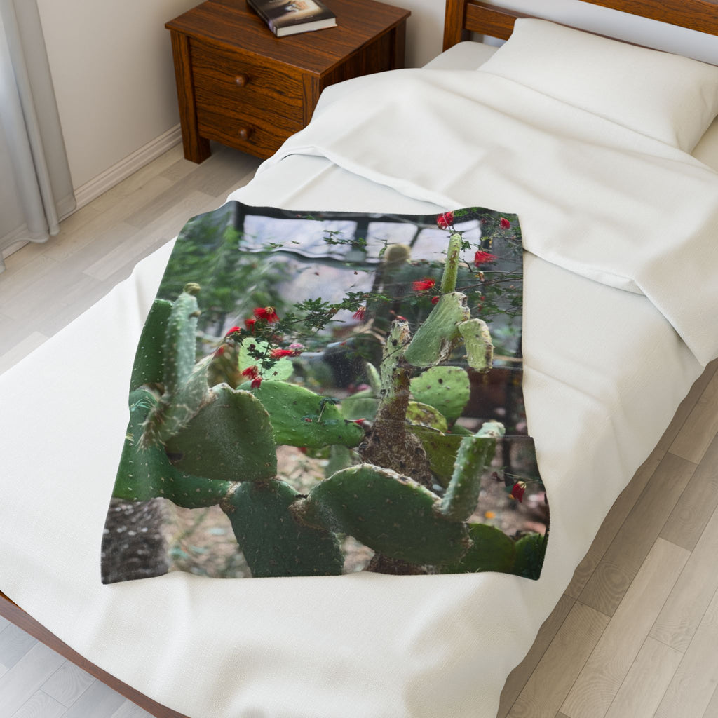 Cactus Garden Velveteen Plush Blanket | Cozy Home Decor, Soft Throw for All Seasons, Gift for Plant Lovers, Nursery Accent, Cactus-Themed