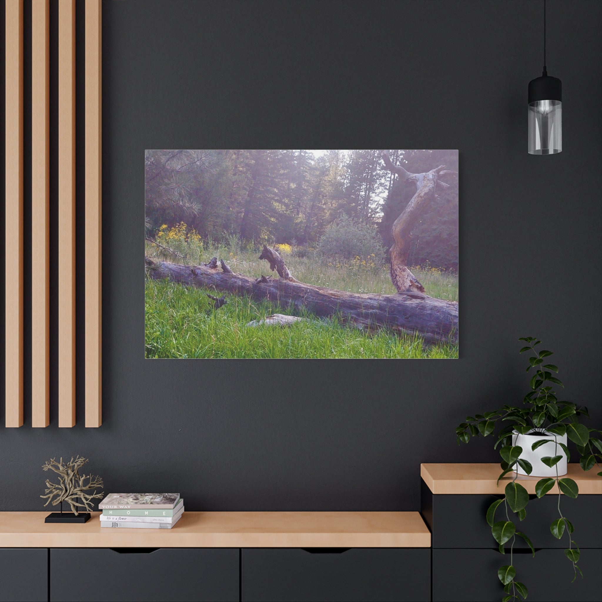 Matte Canvas Wall Art - Serene Nature Scene, Perfect for Home Decor, Gift for Nature Lovers, Office Wall Decoration, Rustic Art Print