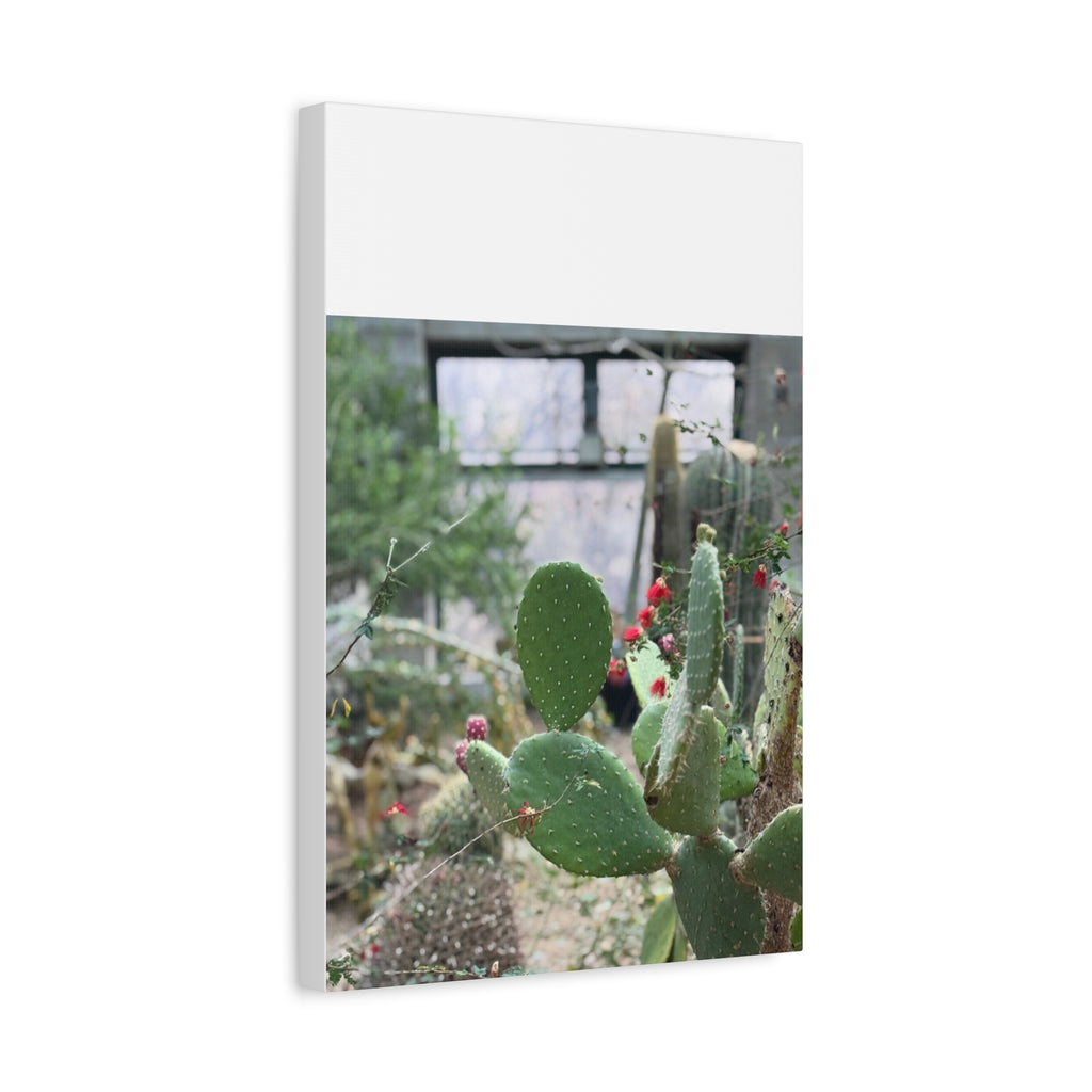 Cactus Matte Canvas Wall Art, Nature Decor, Southwestern Room Design, Green Plant Prints, Home and Office Wall Decor