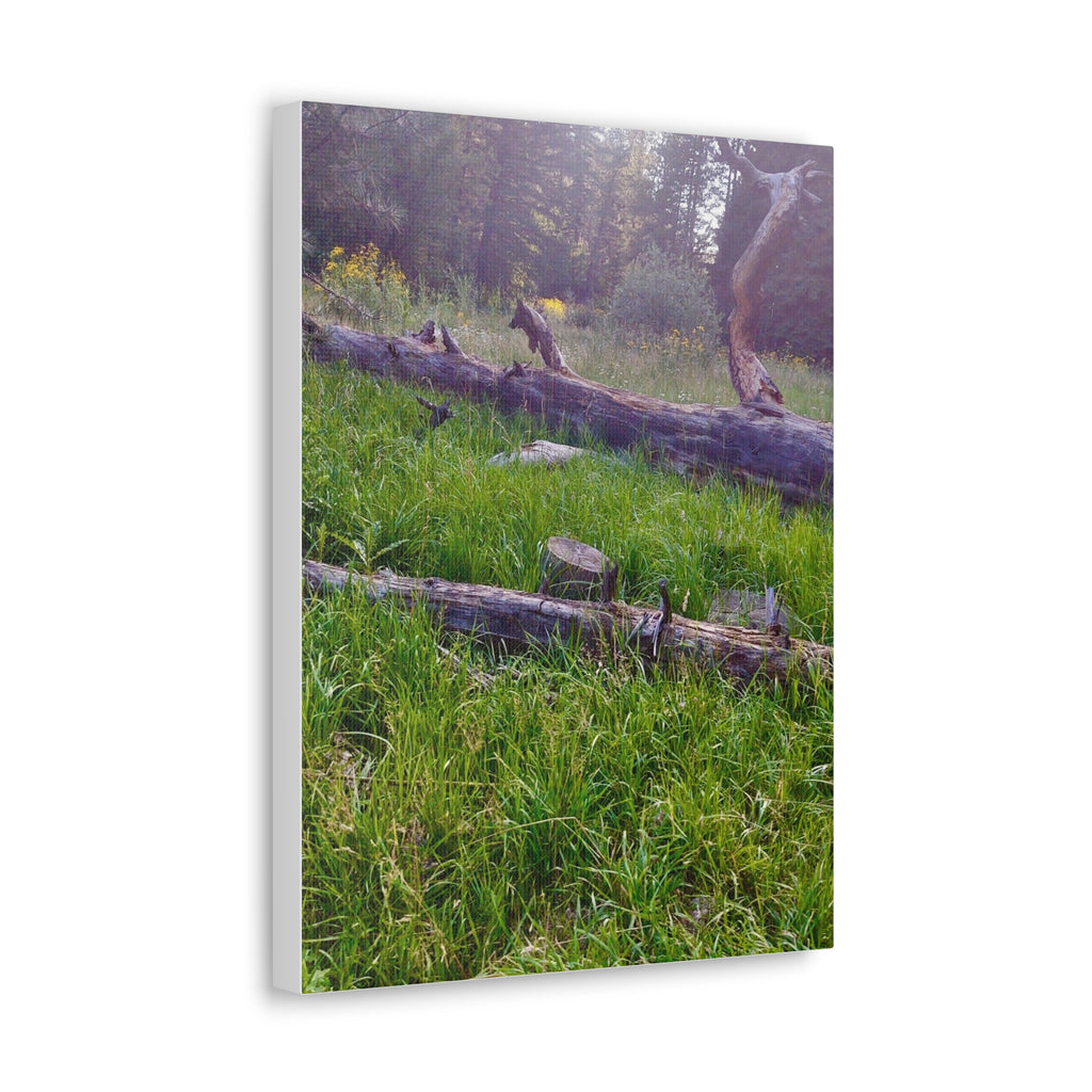 Classic Canvas Wall Art - Nature Decor, Outdoor Wall Hanging, Home Aesthetic, Gift for Nature Lovers, Rustic Cabin Decor