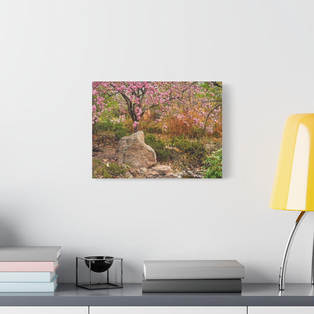 Canvas Wall Art, Pink Blossom Landscape Decor, Nature Photograph, Floral Print, Spring Home Decor, Gift for Nature Lovers