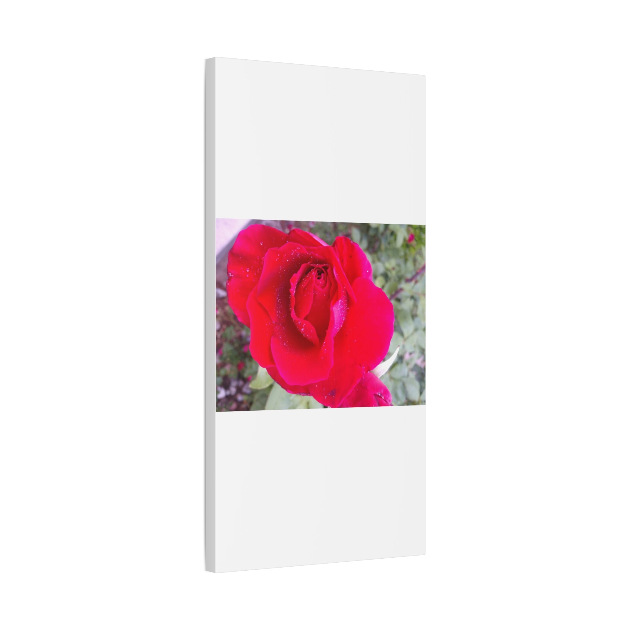 Vibrant Floral Canvas Art, Elegant Wall Decor, Perfect for Home, Gifts, Mother's Day, and Weddings