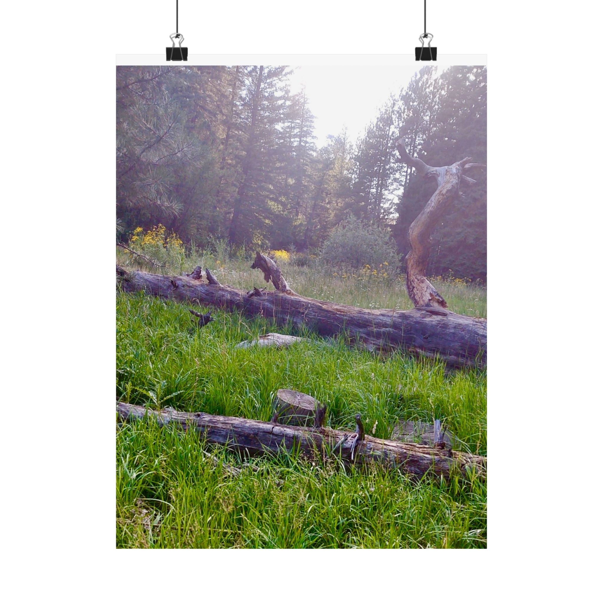 Nature-Inspired Matte Vertical Posters, Wall Art Decor, Forest Photo Prints, Home Aesthetic, Gift for Nature Lovers