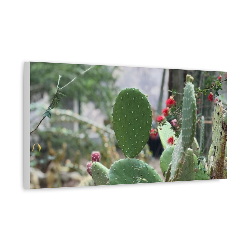 Cactus Matte Canvas Wall Art, Nature Decor, Southwestern Room Design, Green Plant Prints, Home and Office Wall Decor