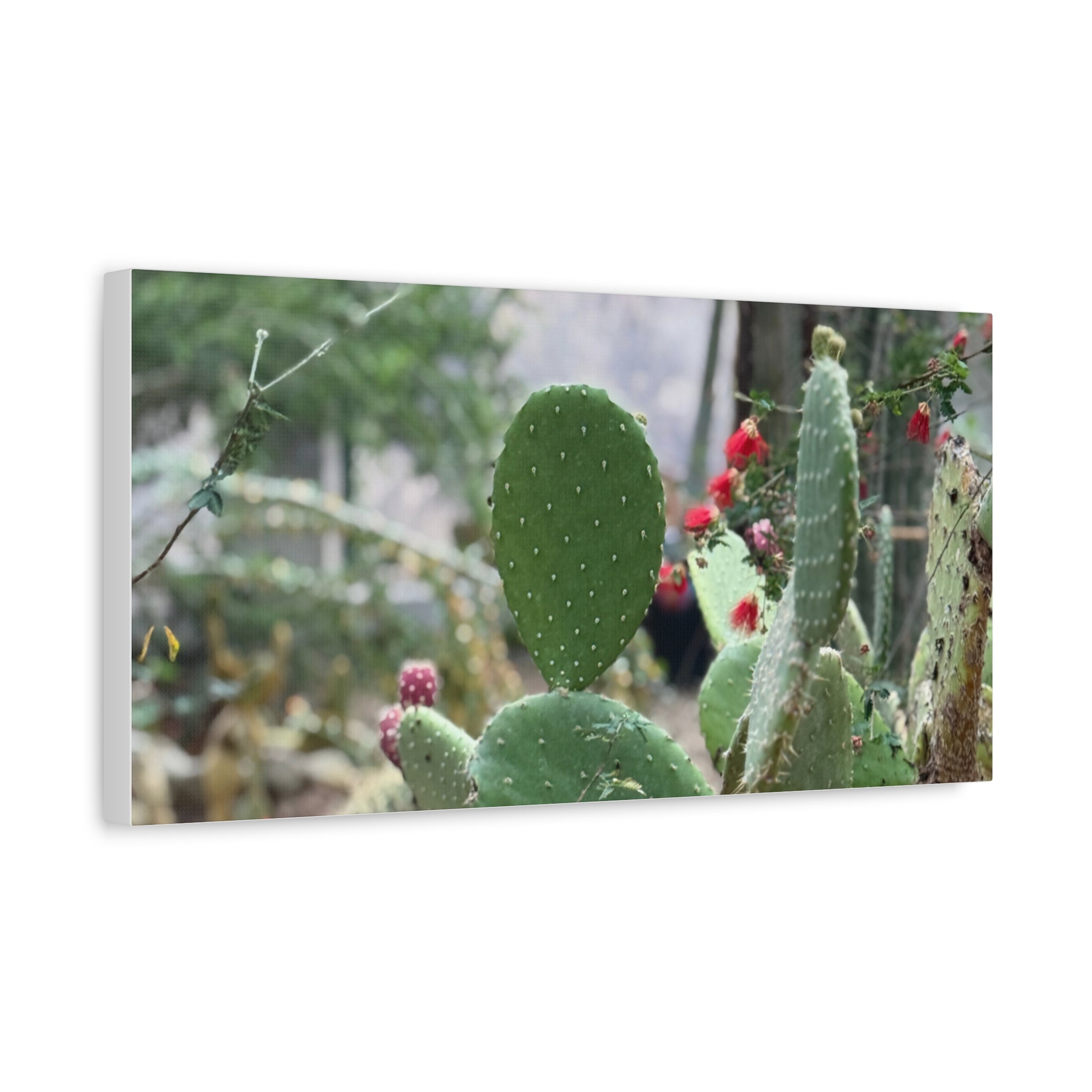 Cactus Matte Canvas Wall Art, Nature Decor, Southwestern Room Design, Green Plant Prints, Home and Office Wall Decor