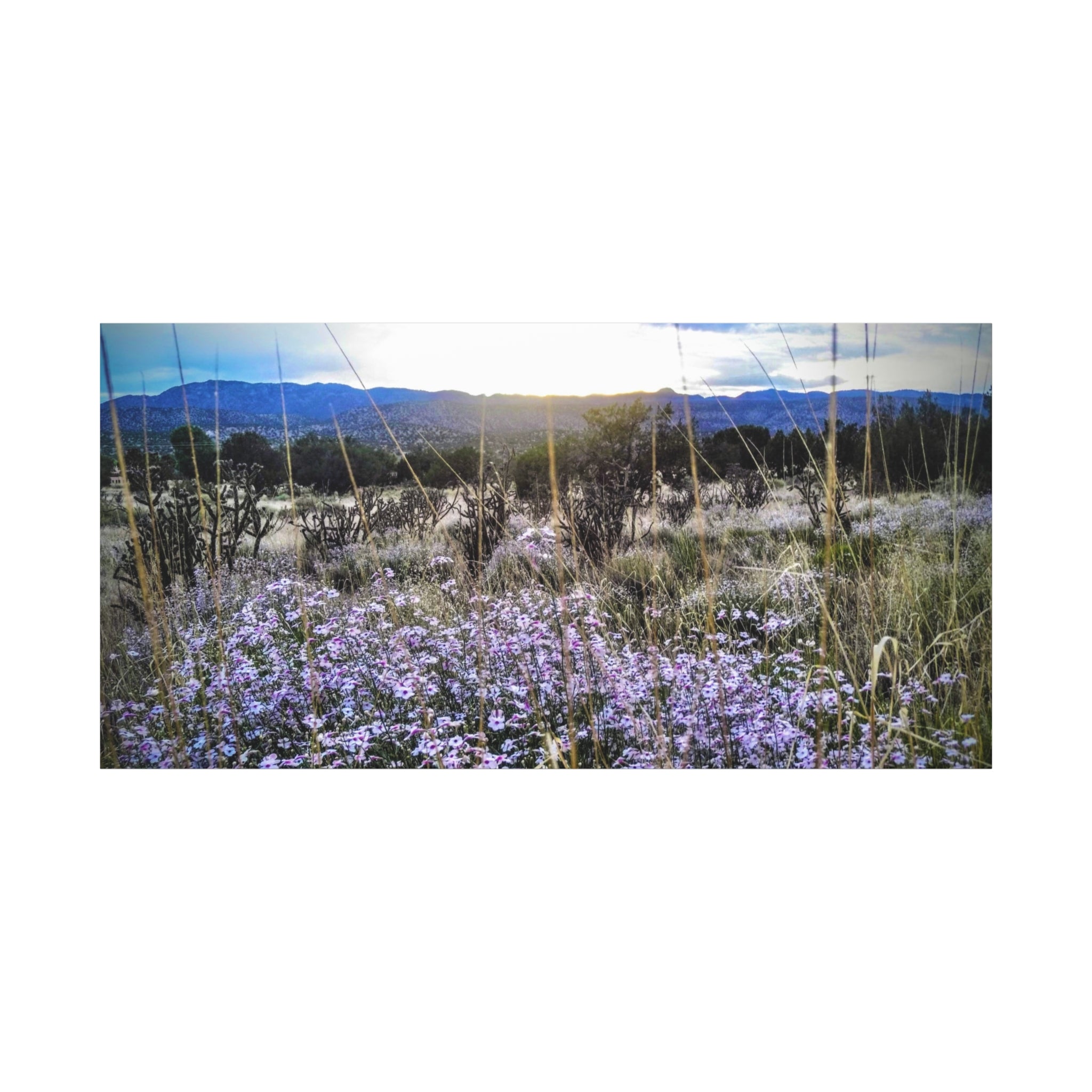 Framed Botanical Wall Art, Floral Canvas Print, Nature Decor, Home Interior Art, Gift for Garden Lovers, Beautiful Flower Landscape